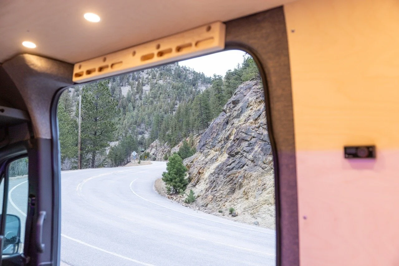 BlueBirchVanSF-30 Large.jpeg