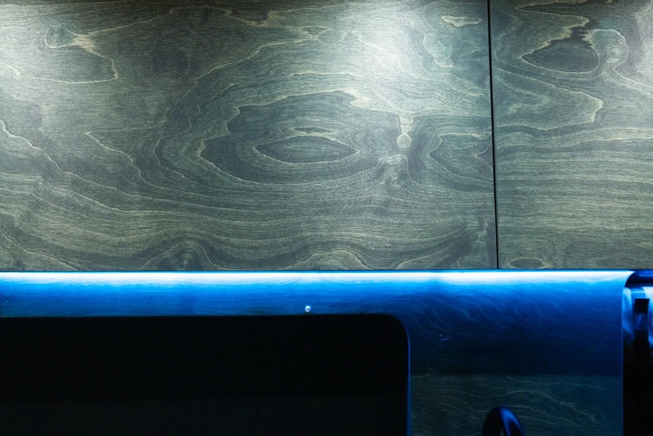 CVForest-7 Large.jpeg