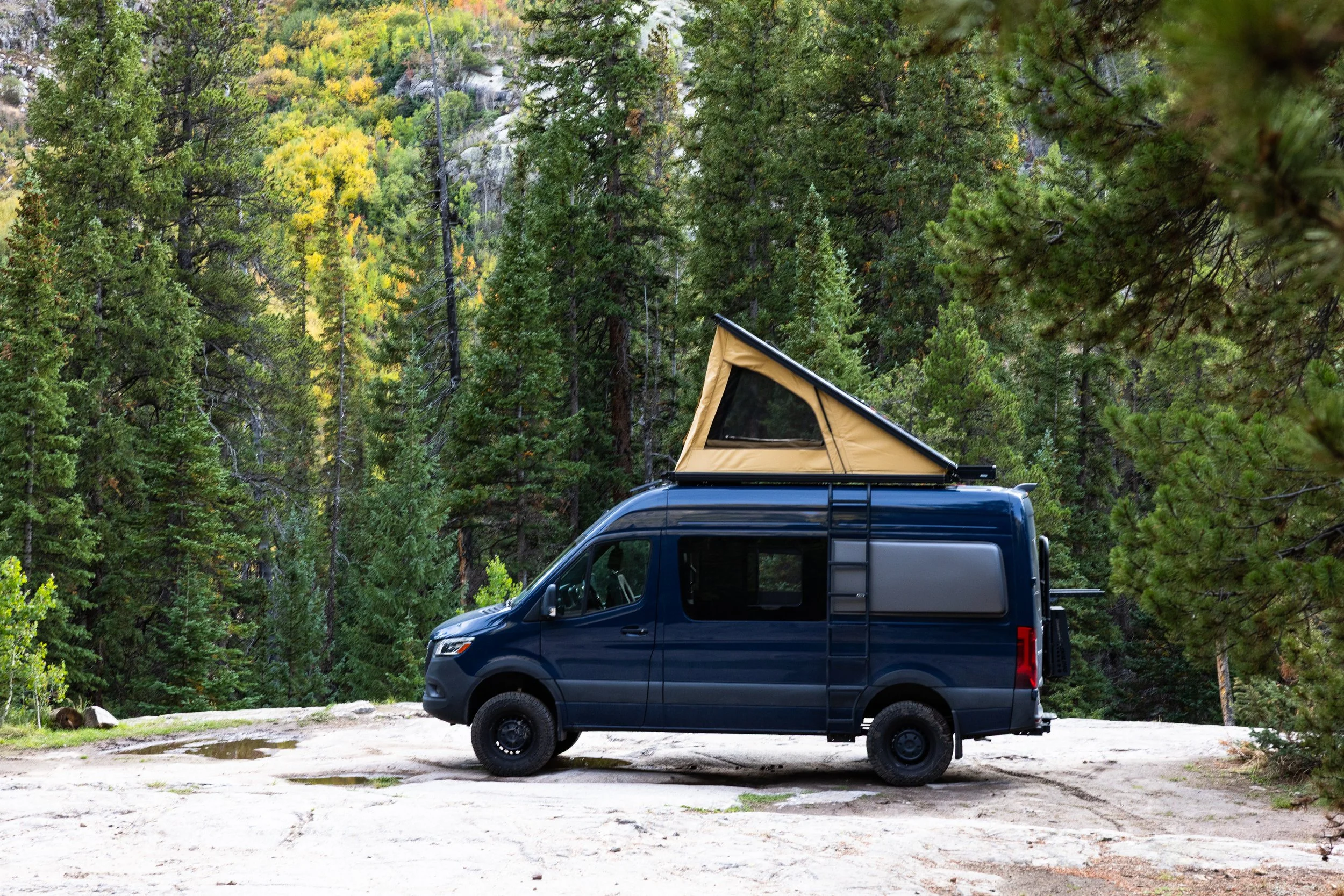 A dark blue camper van with a pop-up tent roof parked on a rocky surface, surrounded by tall green pine trees in a forest setting.