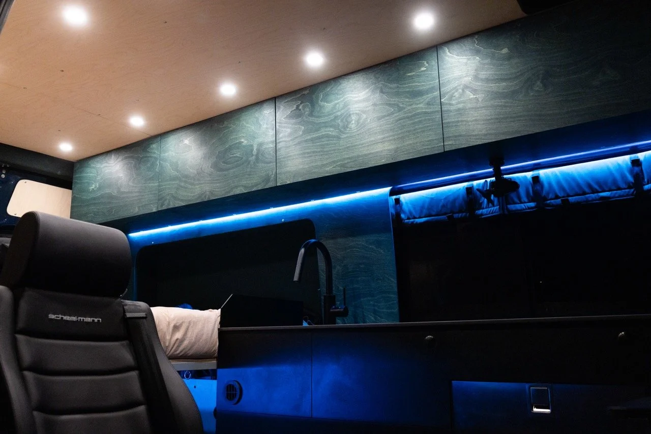 CVForest-9 Large.jpeg