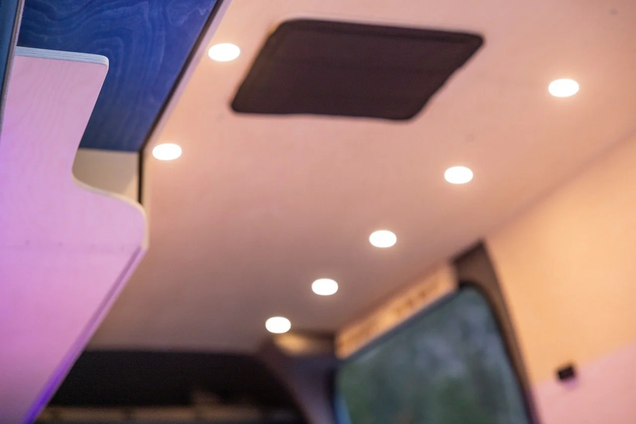 BlueBirchVanSF-47 Large.jpeg