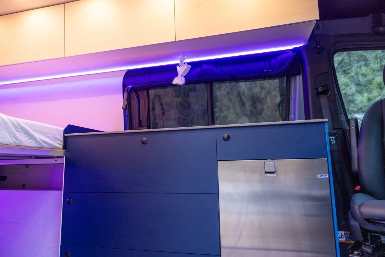 BlueBirchVanSF-38 Large.jpeg