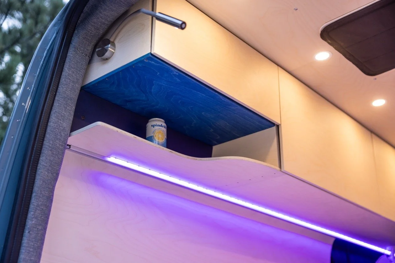 BlueBirchVanSF-40 Large.jpeg