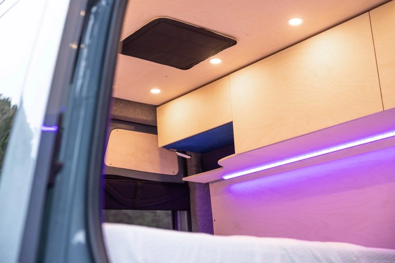 BlueBirchVanSF-13 Large.jpeg