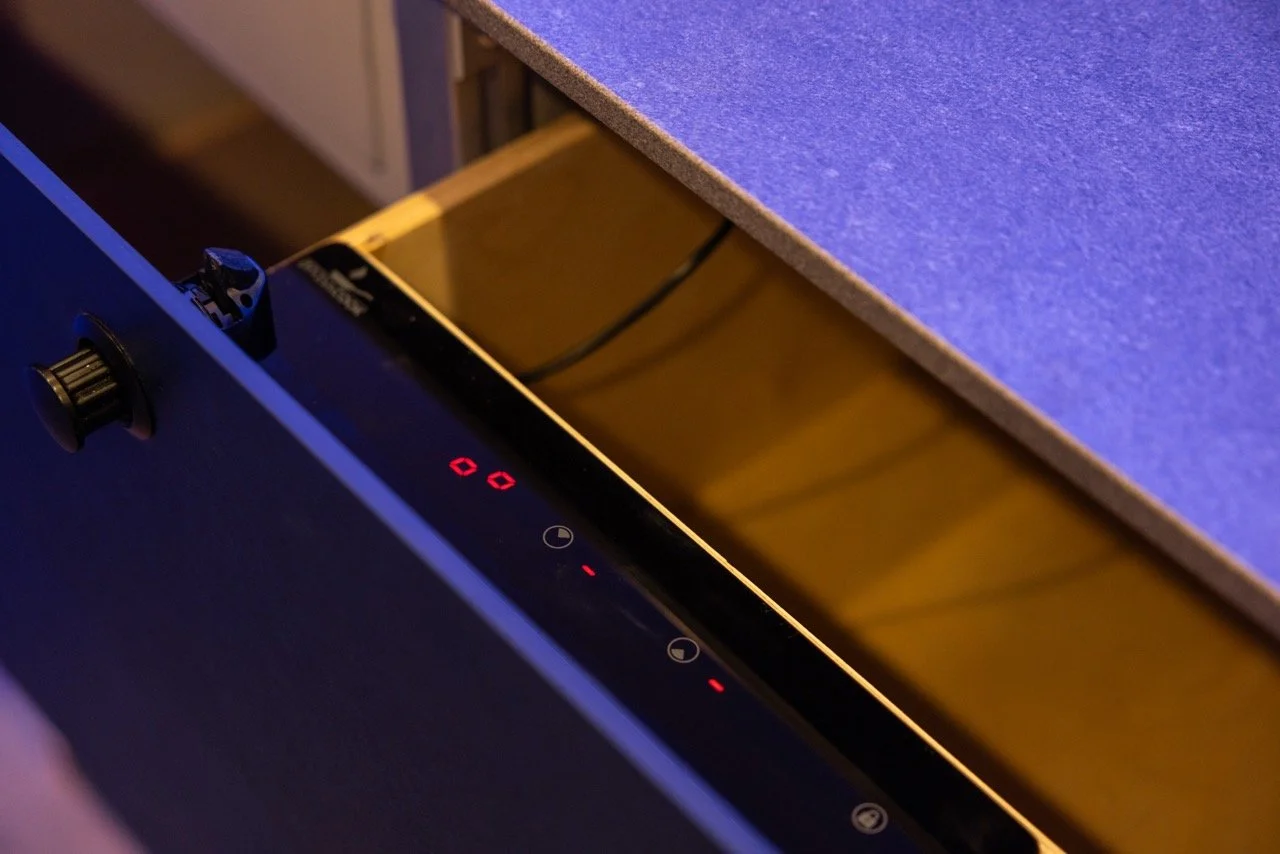 BlueBirchVanSF-65 Large.jpeg