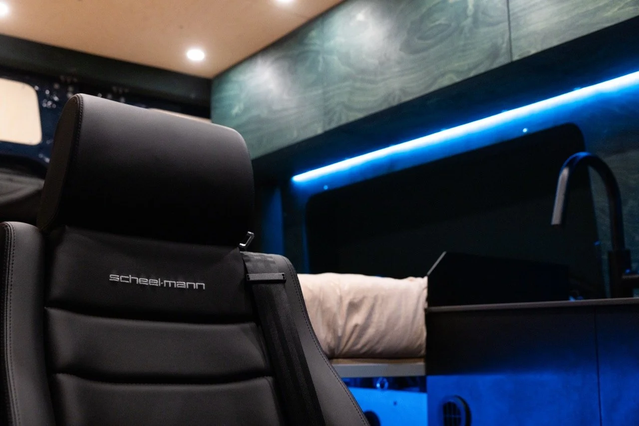 CVForest-15 Large.jpeg