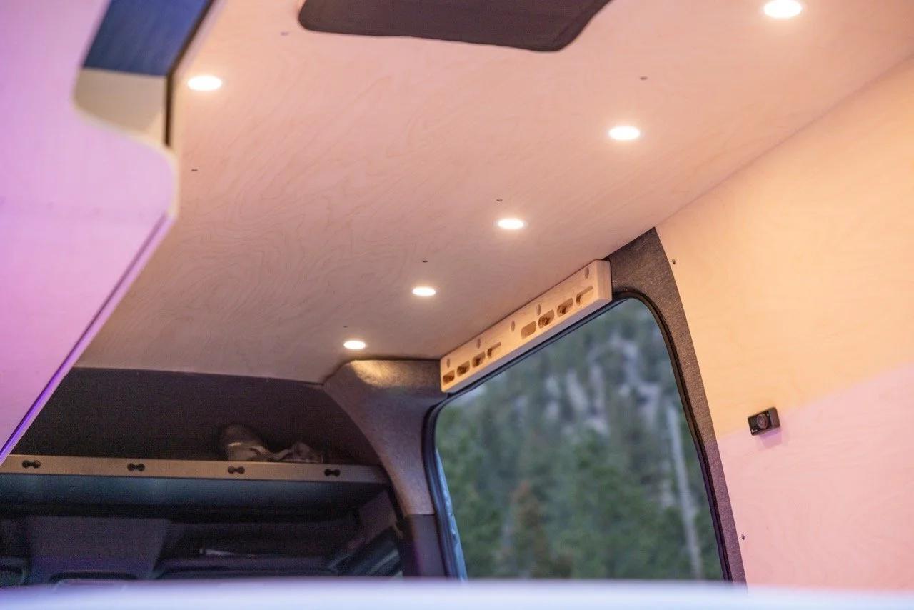 BlueBirchVanSF-46 Large.jpeg