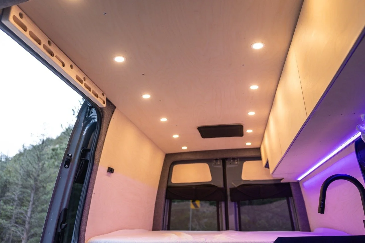 BlueBirchVanSF-19 Large.jpeg