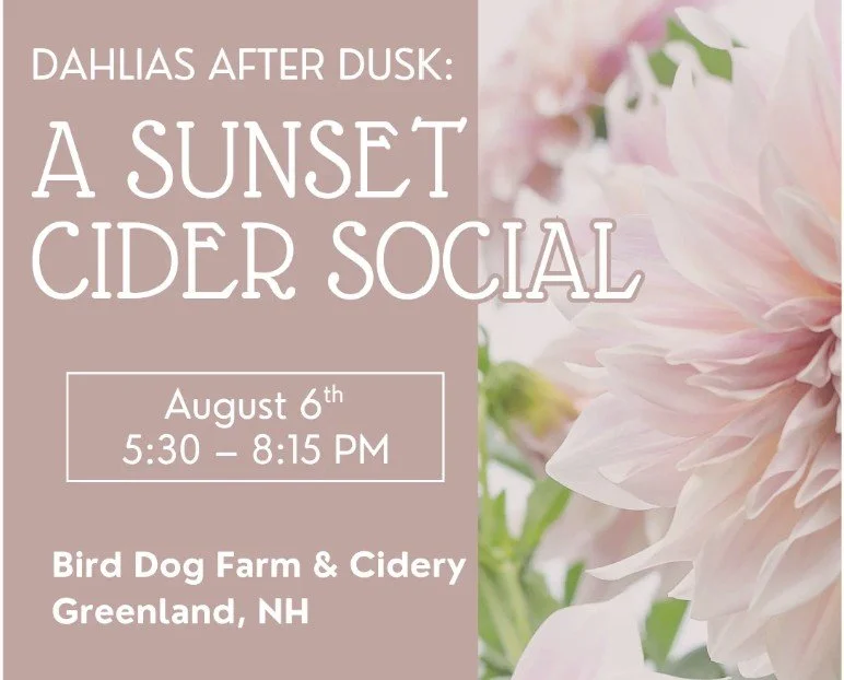 Dahlias After Dusk: A Sunset Cider Social
