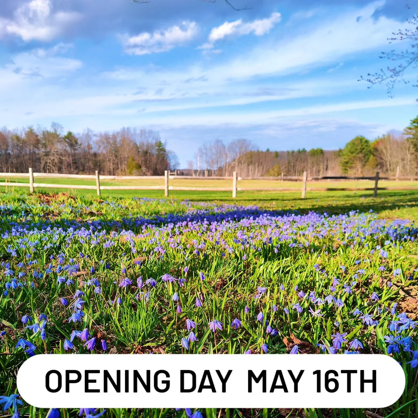 A lot of folks have been asking, so now it's official. Re-opening for the season Saturday May 16th! 

We have lots of new things to share with you. Stay tuned over the next 30 days. 

See you soon.