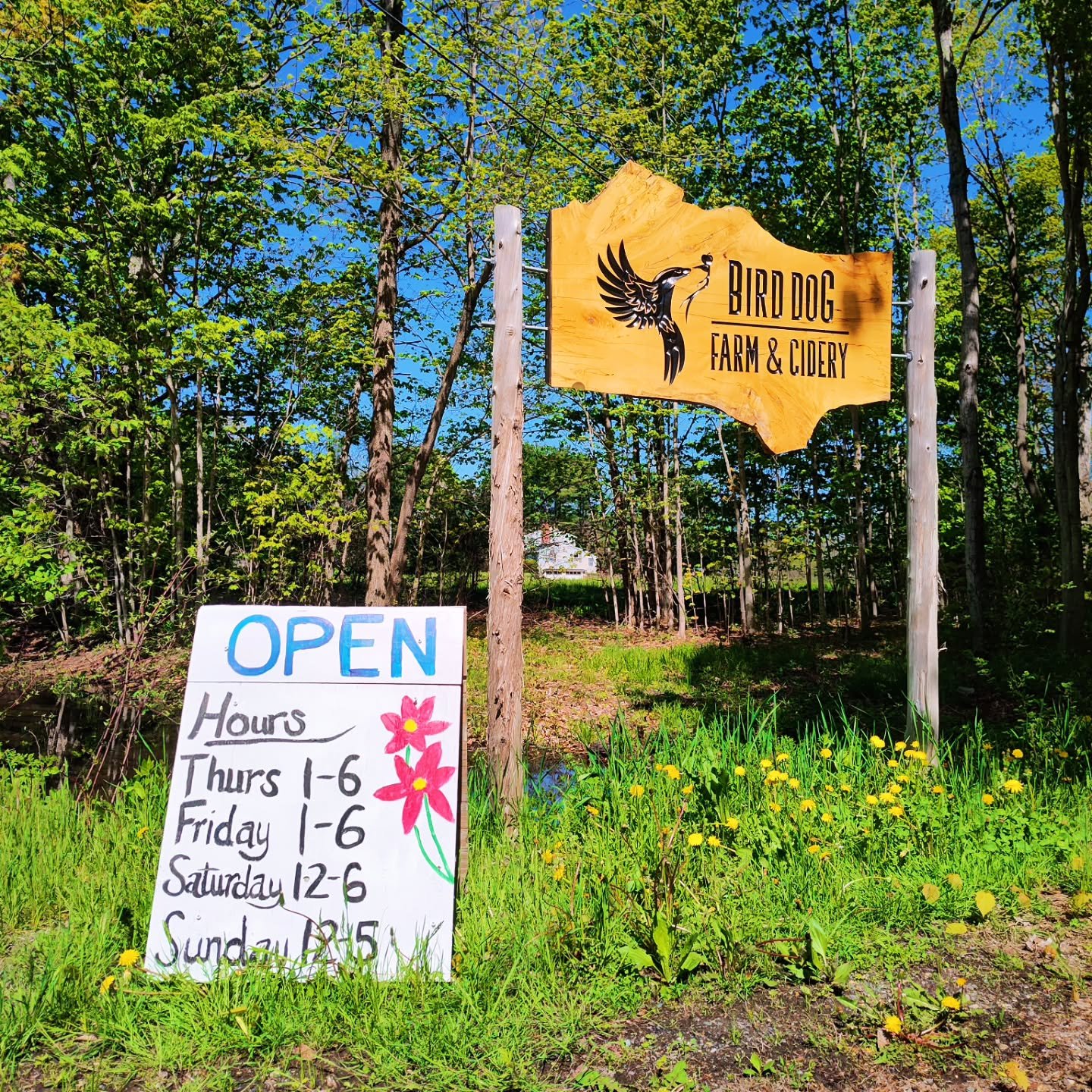 WE'RE BACK!

New ciders, new food, same friends. What a perfect day to open for the season. We hope to see you. 

#livefreeandcider
