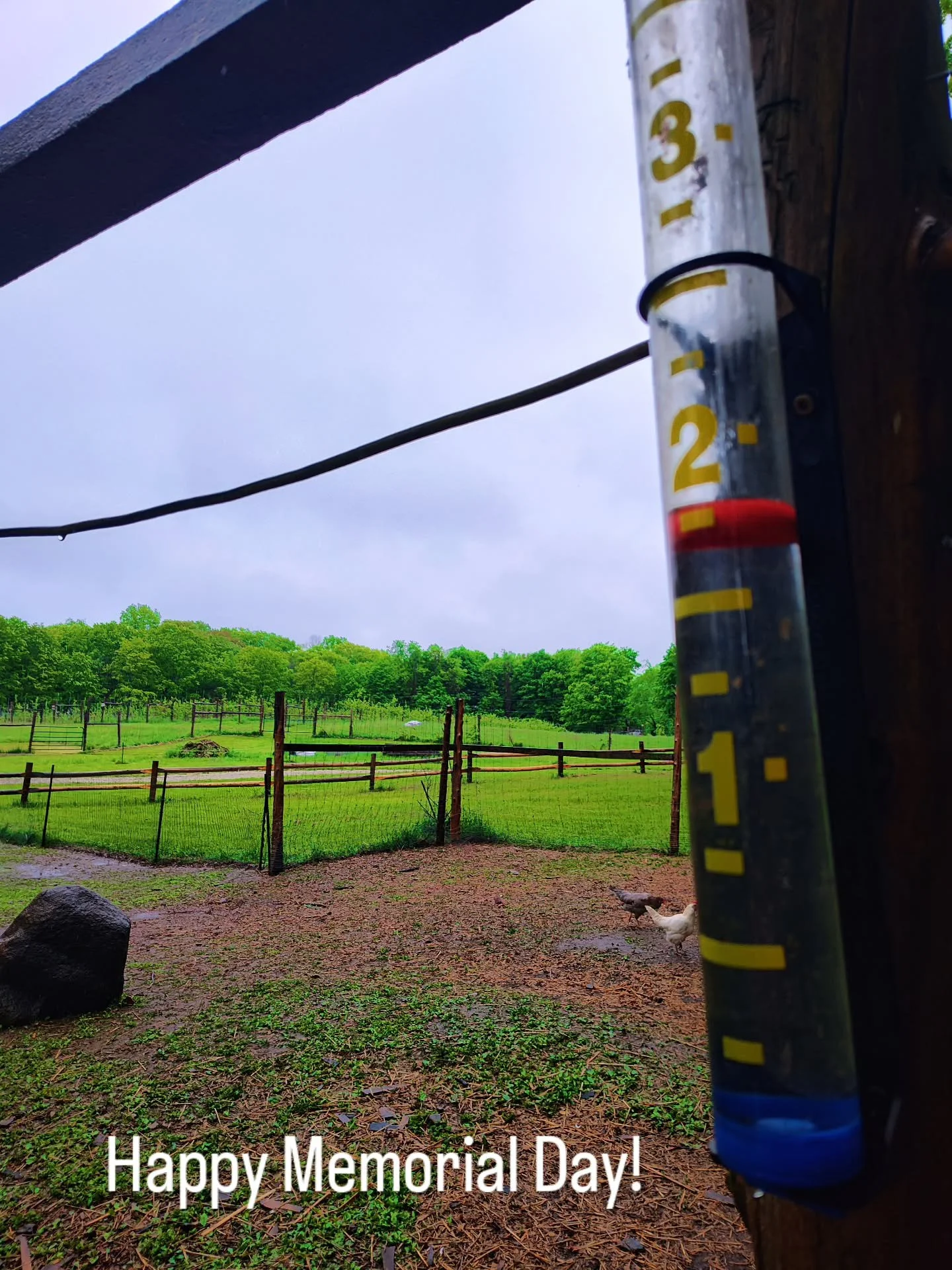 Thank you to our service members past and present. We appreciate you. Veterans or active service members get a free pour on us today. 

After nearly two inches of rain in 24 hours the rain is now clearing, temps warming, and the sunshine is starting 
