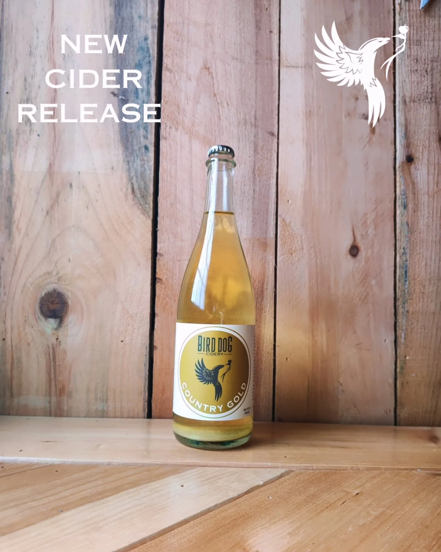 COUNTRY GOLD IS BACK!

The 2024 vintage of our most popular cider is here. Available on draught and bottle in the tasting room starting today! This blend highlights Golden Russet, an American heirloom variety that has incredibly rich sugars (read: AB