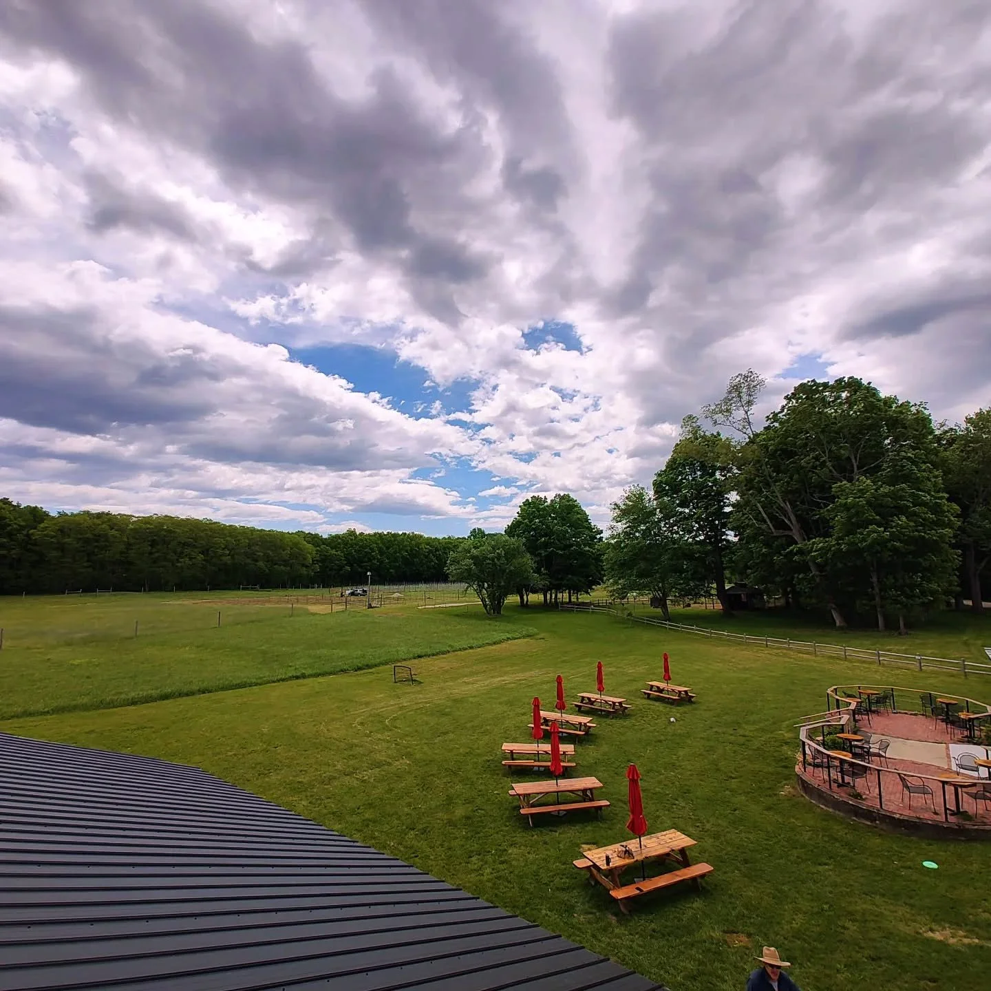 Clearer skies ahead this afternoon with @timbear_music from 2:30-4:30. Sunday Funday. 

Cider donuts, GF hand pies, soft pretzels, pizza slices, charcuterie boxes. 

The boblinks are here and a few wildflowers are poking out on the hill. 

#livefreea