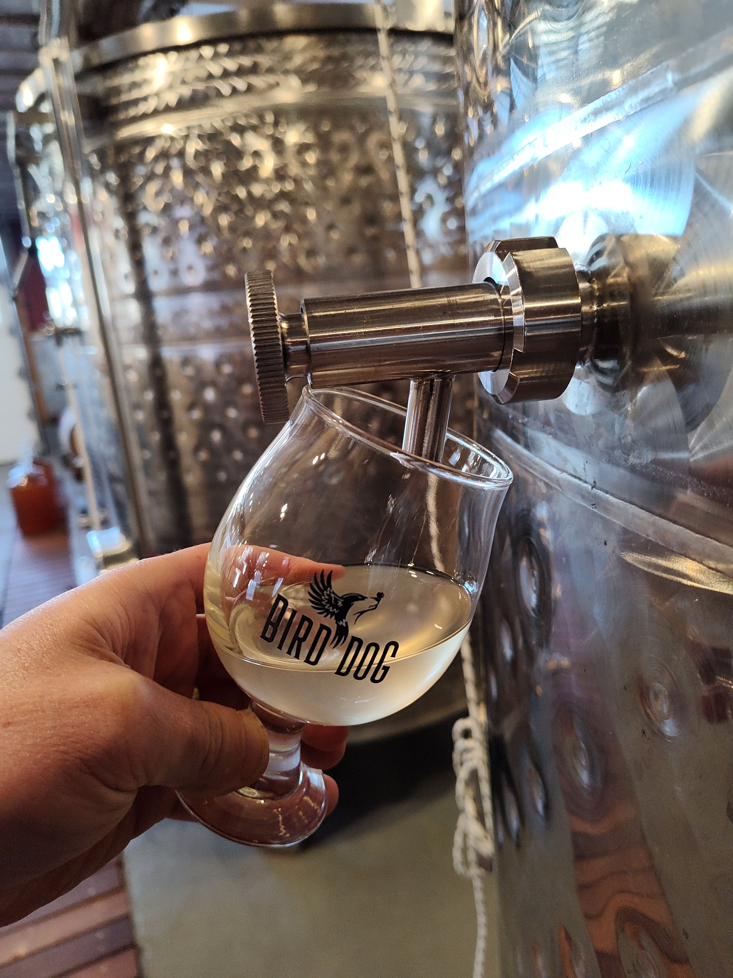 Cider Club Release Event