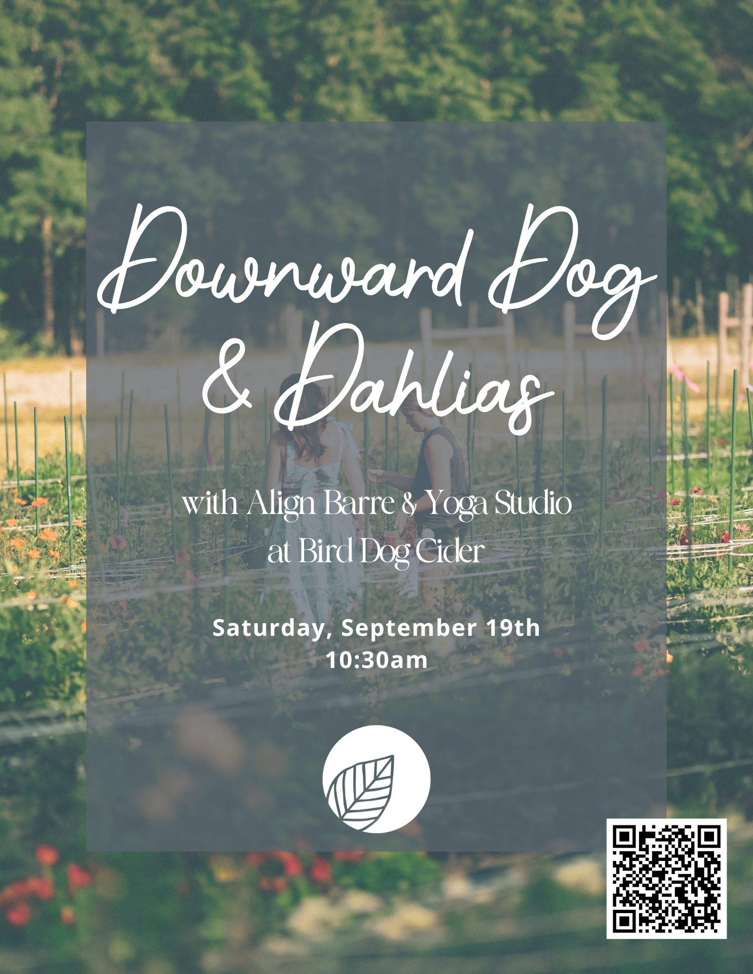 Downward Dog & Dahlias
