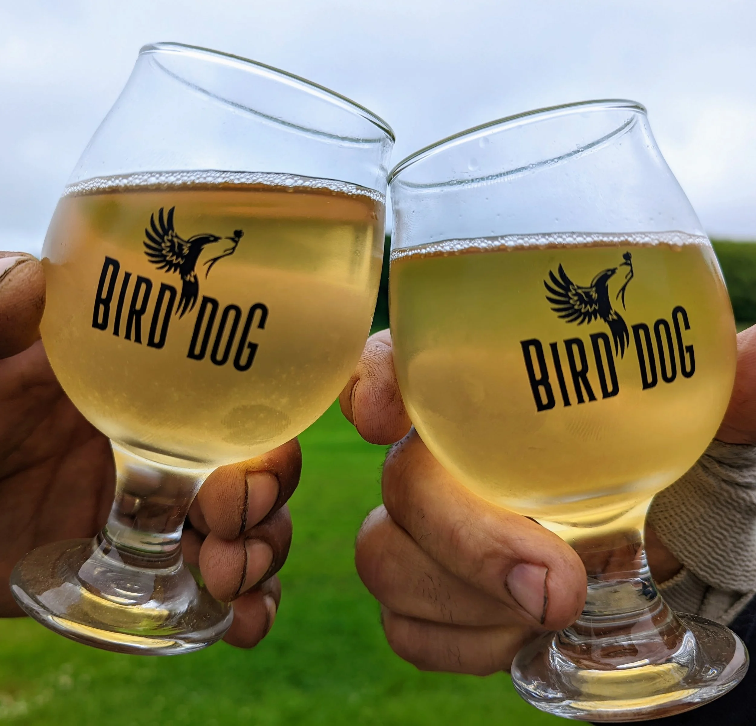 Cheers v2.jpg