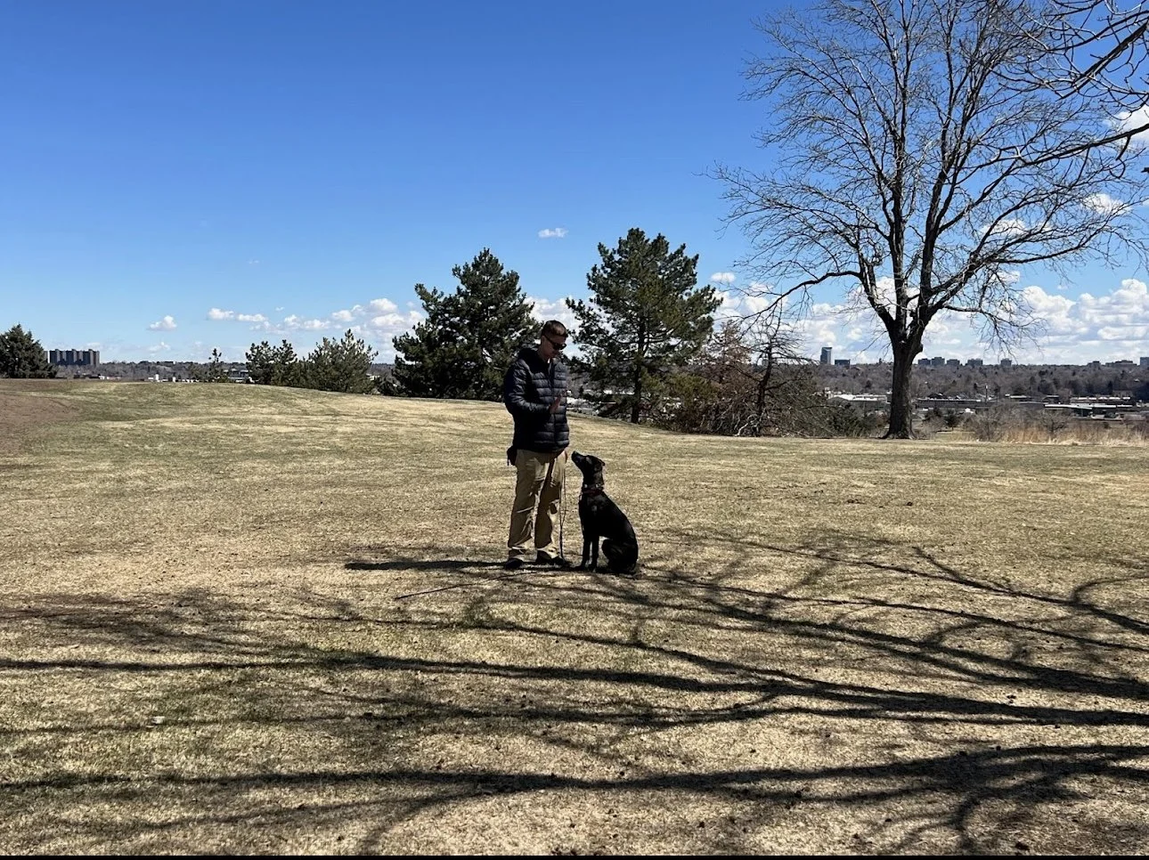 man telling dog to sit in a field