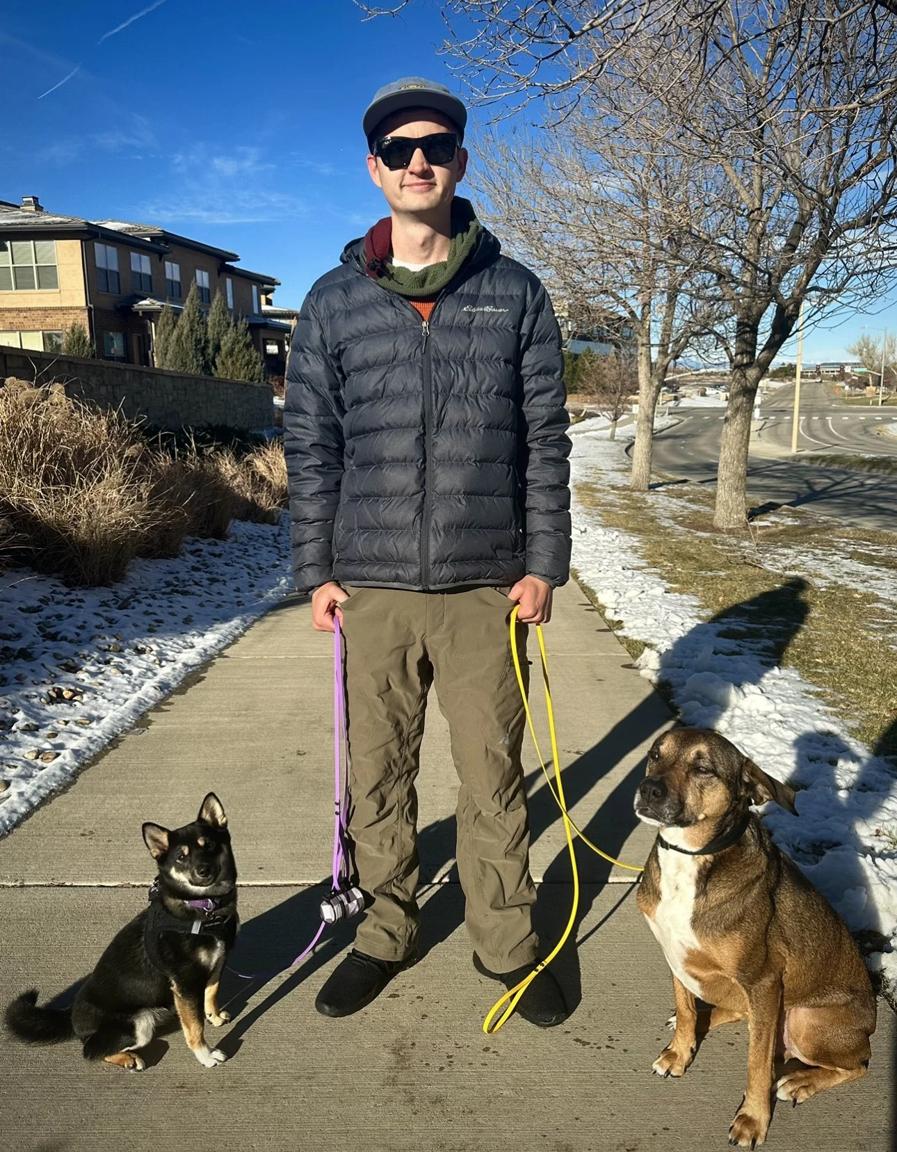 man standing with two dogs