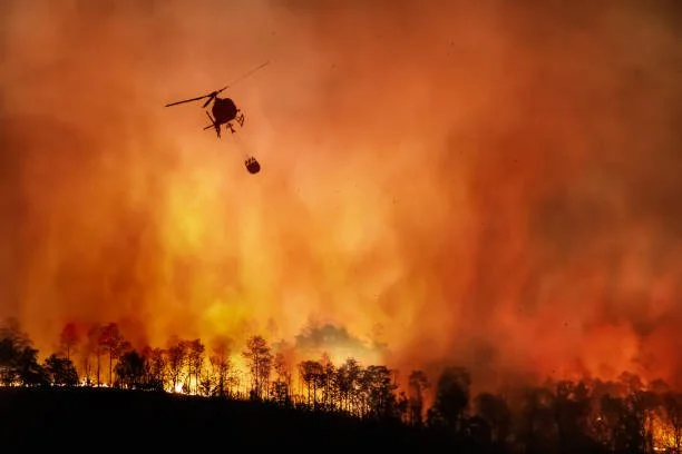 Fire Mitigation Information