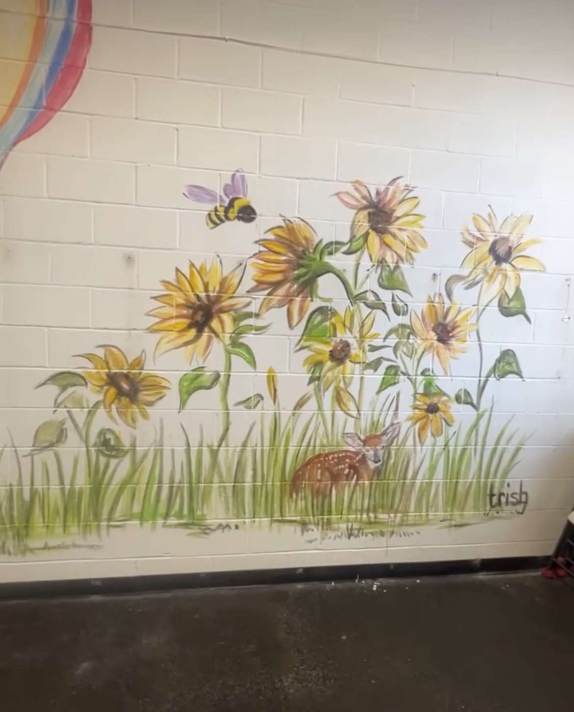 Mural | Rebounders Gymnastics