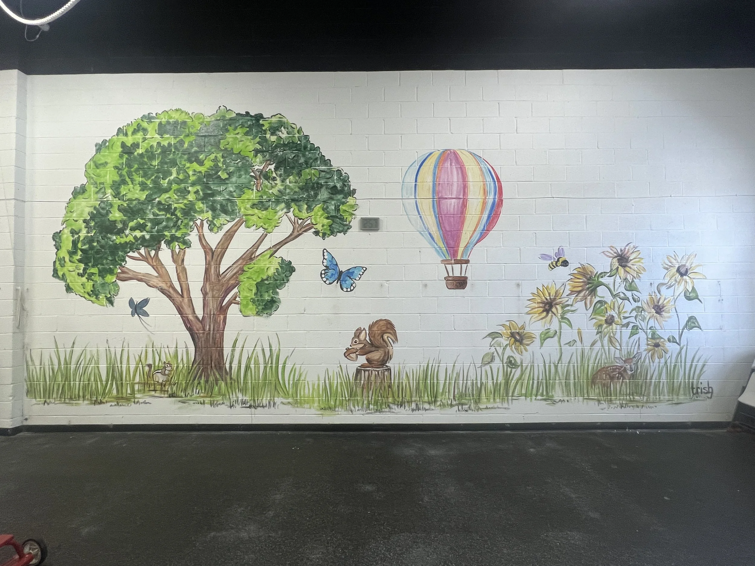 Mural | Rebounders Gymnastics