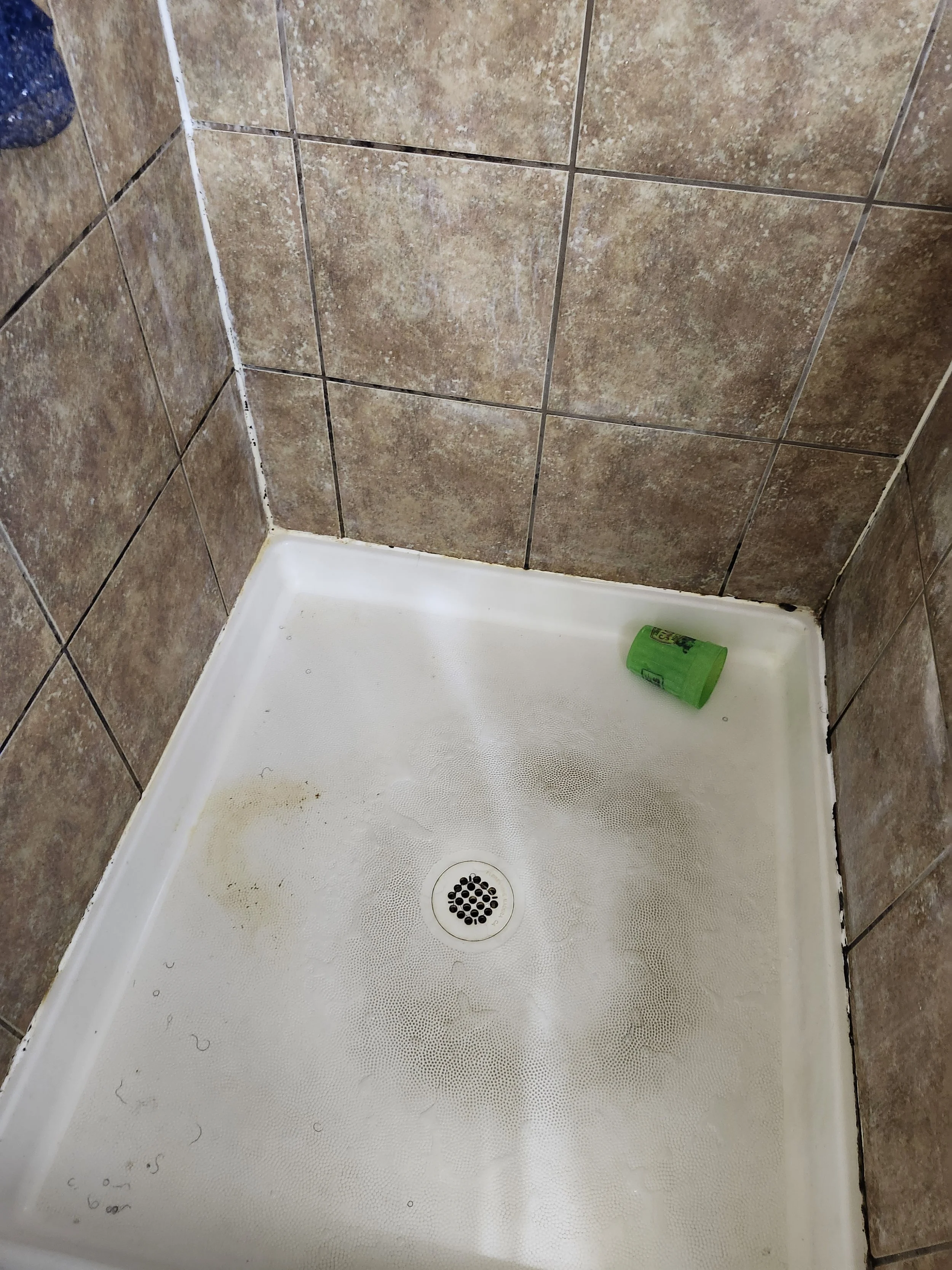 Before Cleaning