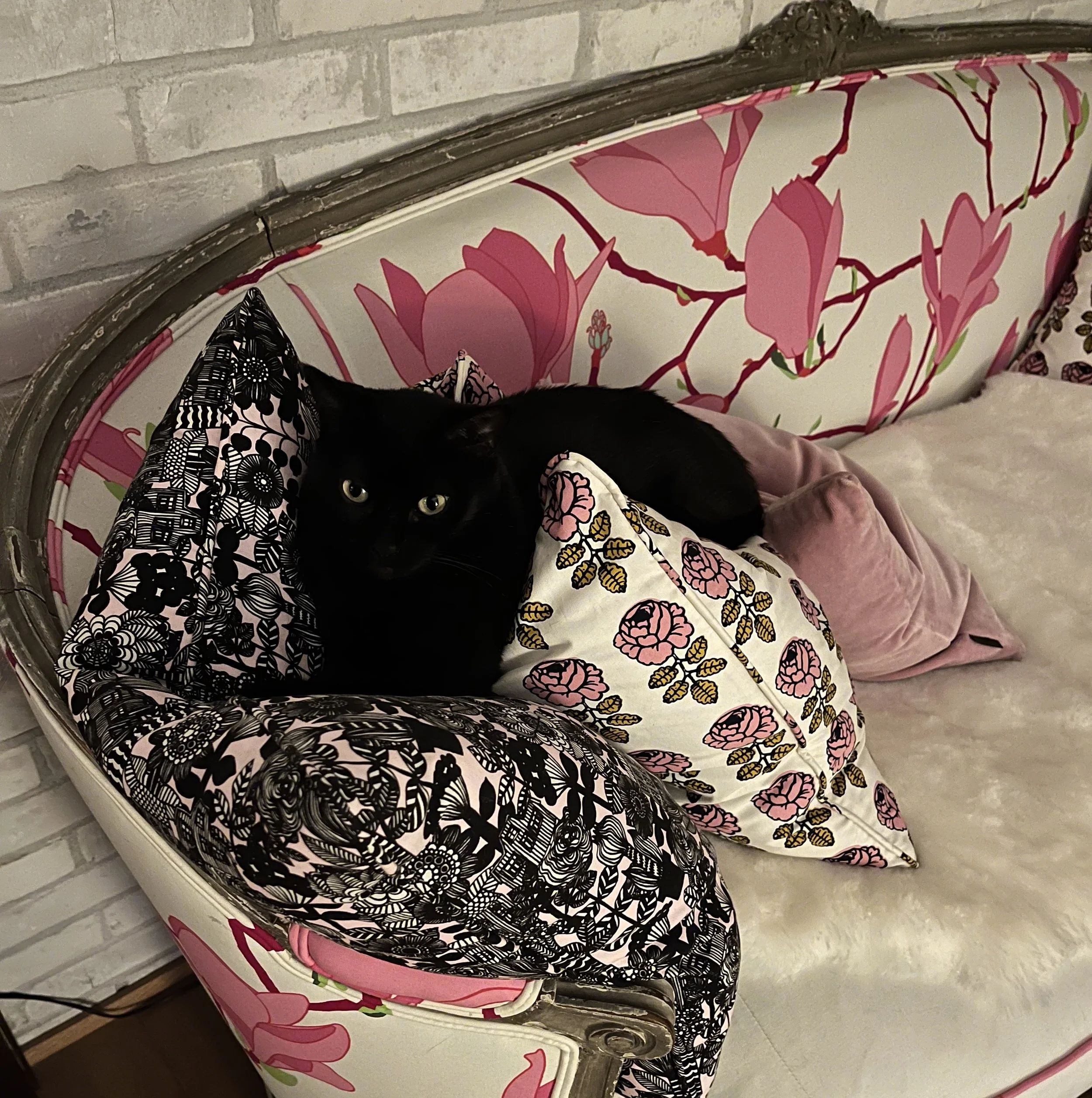 cleo canape.jpg