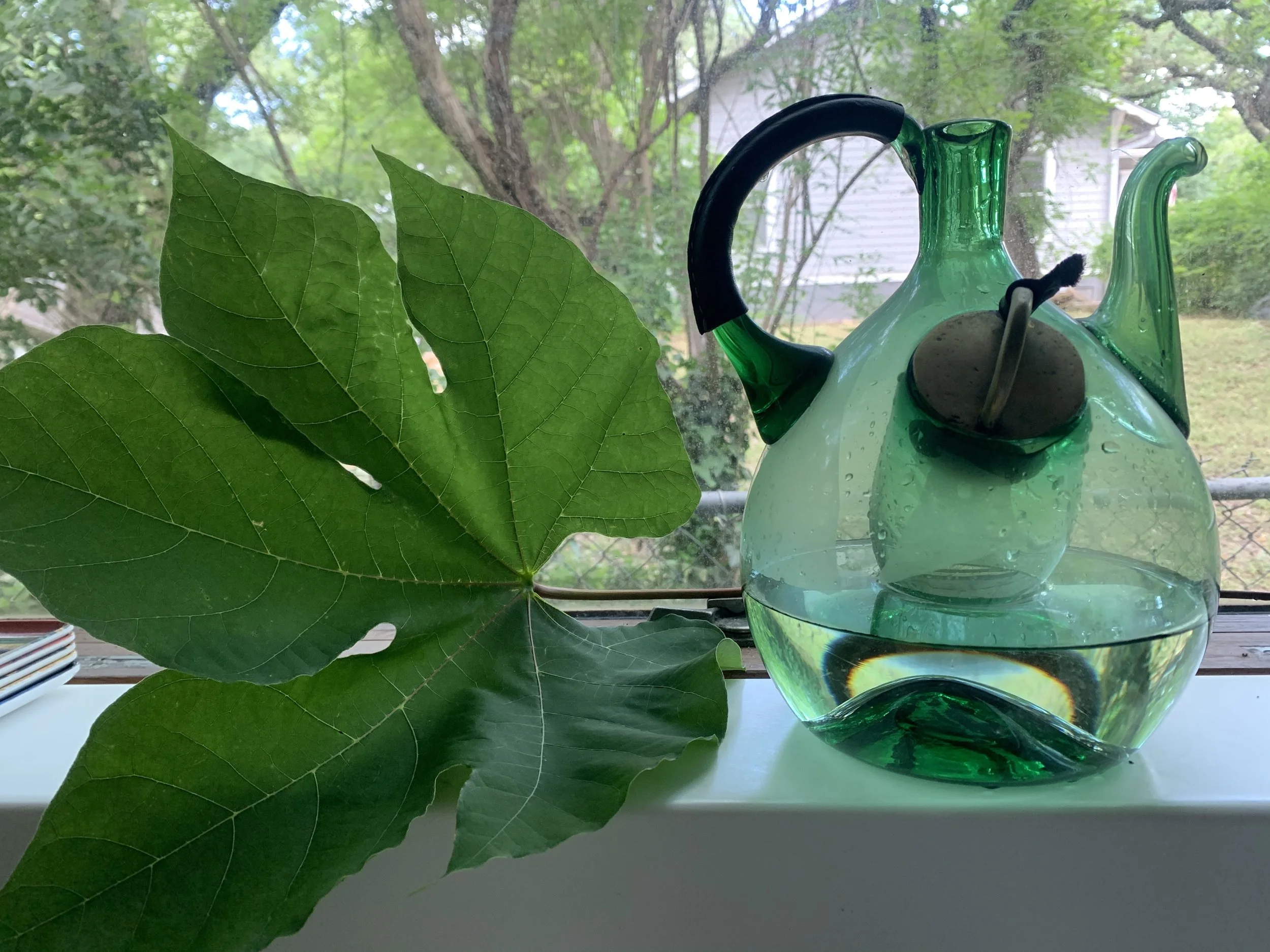 green in window.jpg