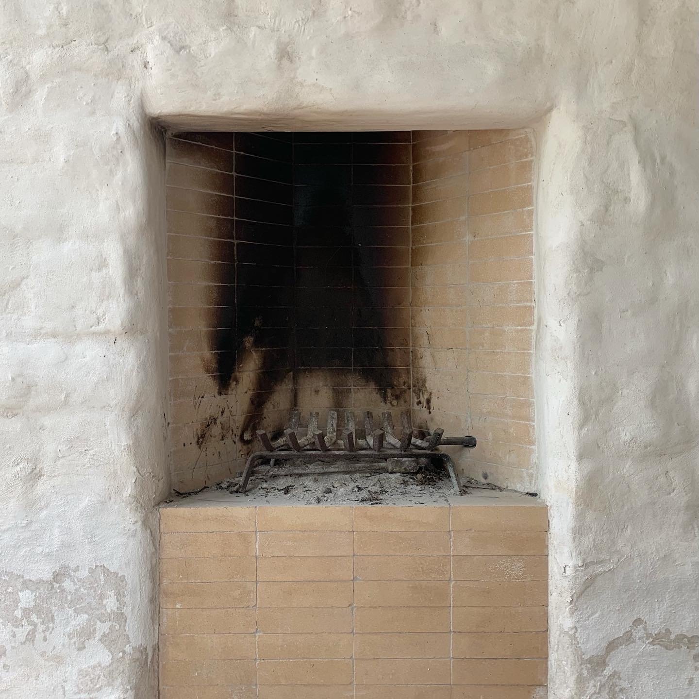 81F61B19-689C-449F-B460-E20A0A250774 copy.JPG