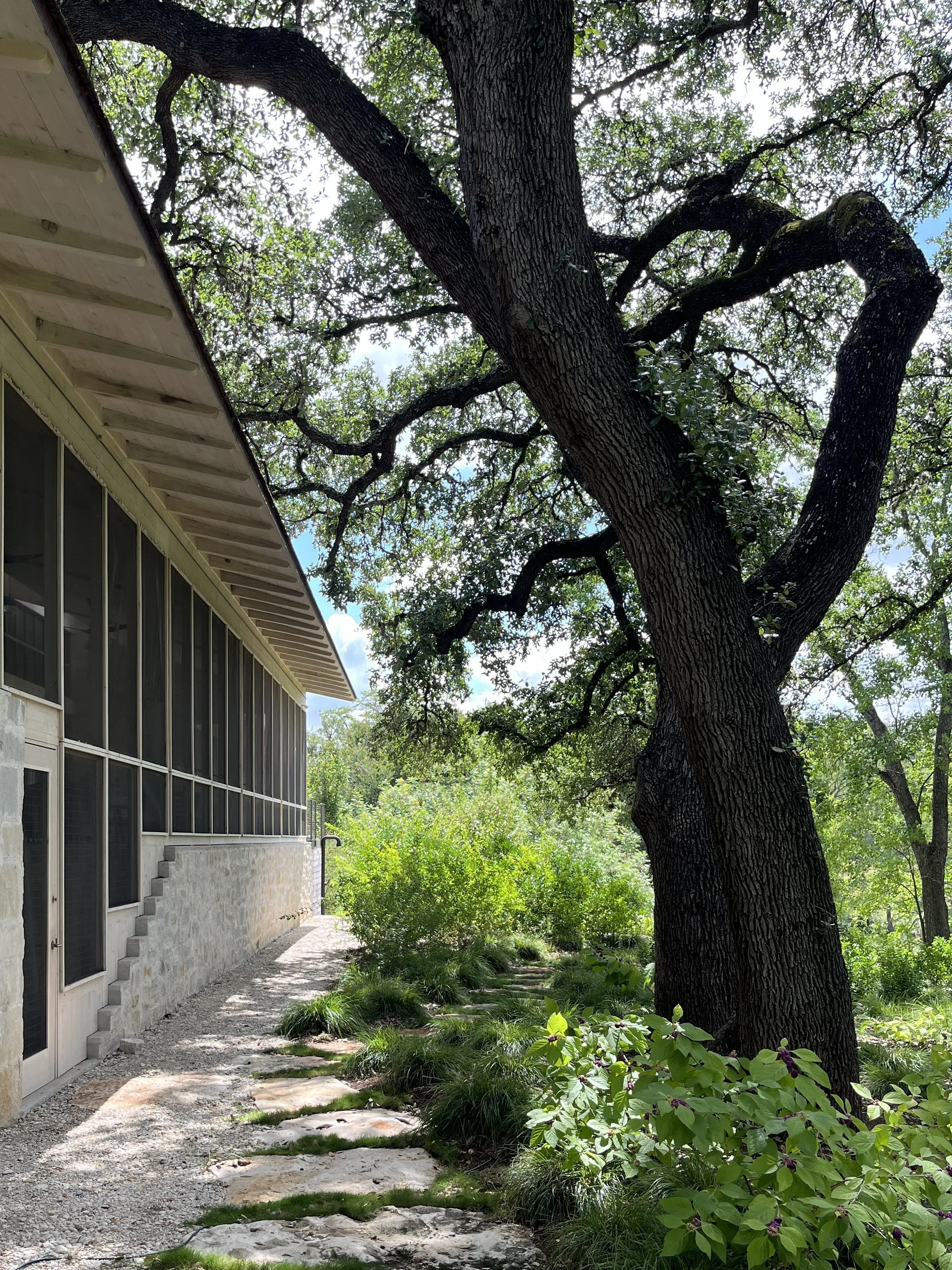 porch under tree.jpg