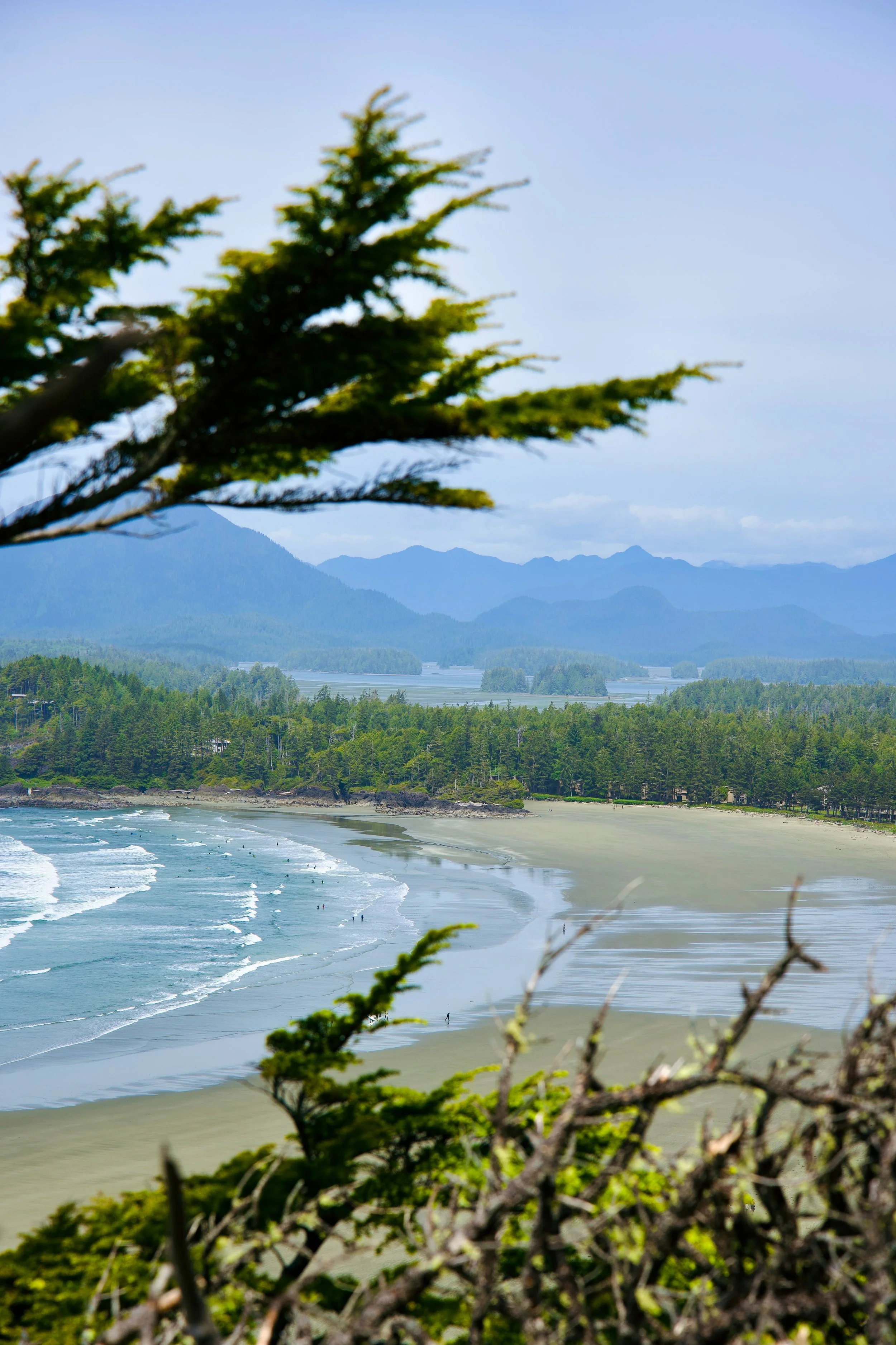 Cox Bay Clayoquot lookout.jpg