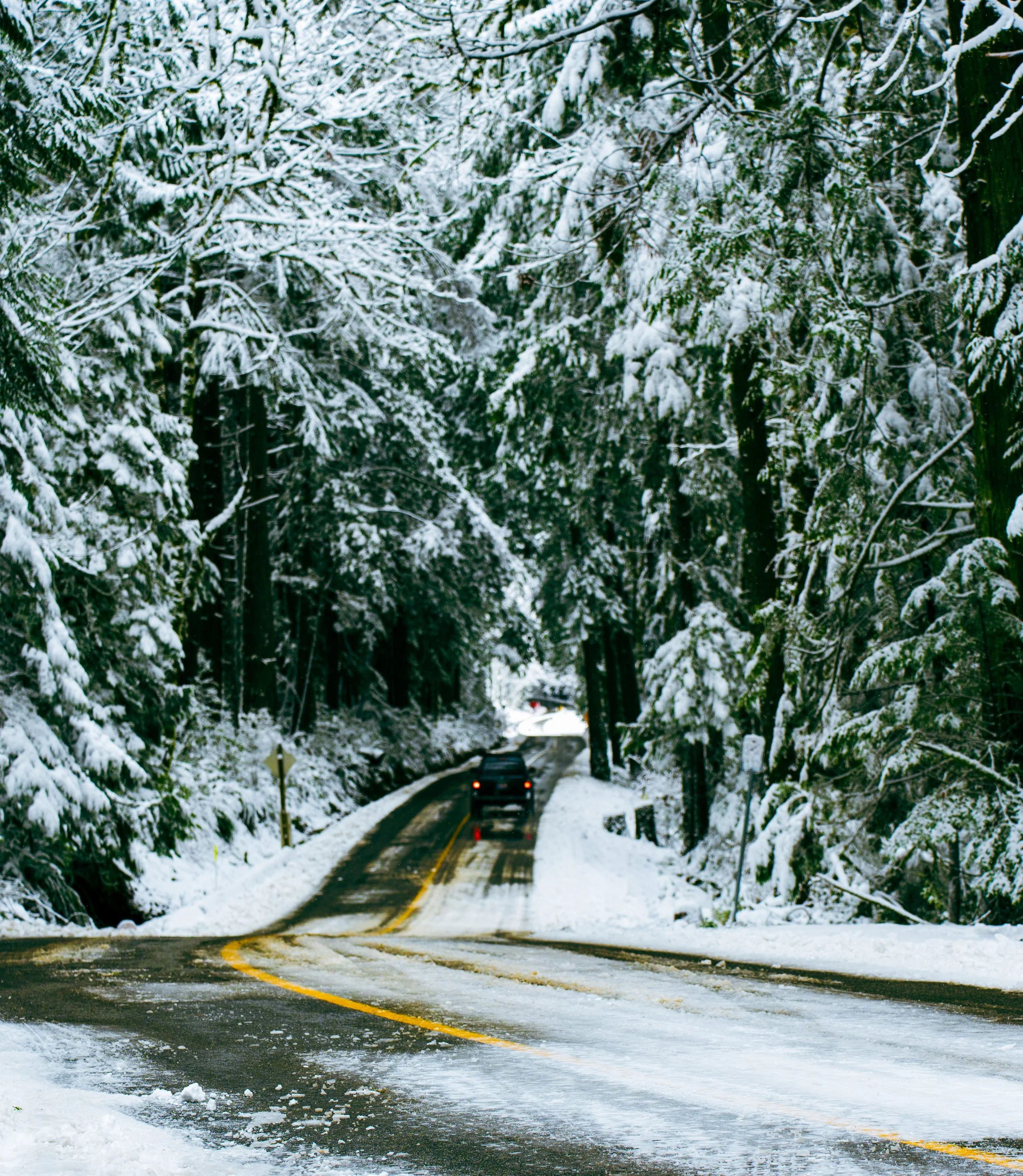 Driveway to the Boutique Retreat 2.JPG