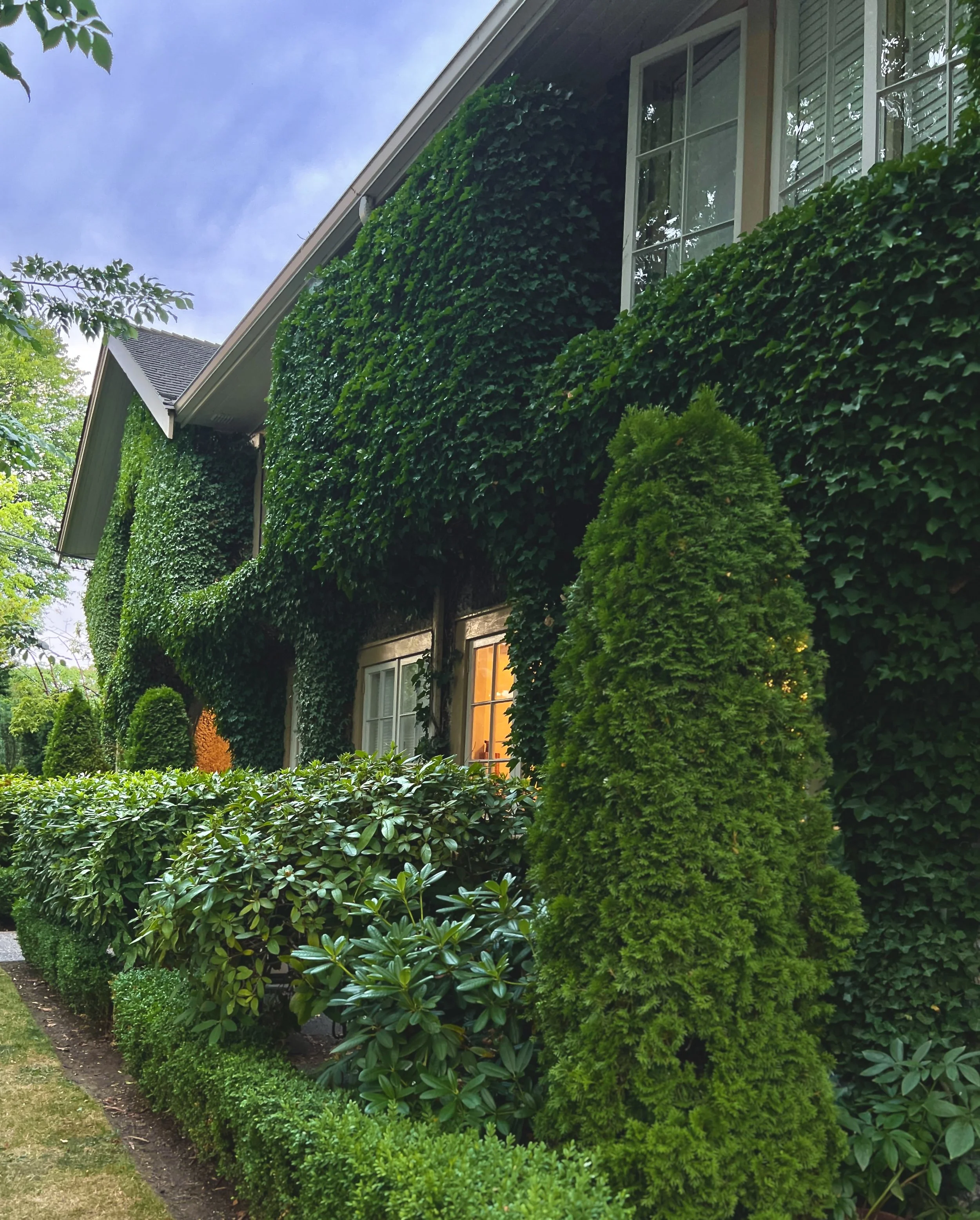 Ivy house 2.jpg