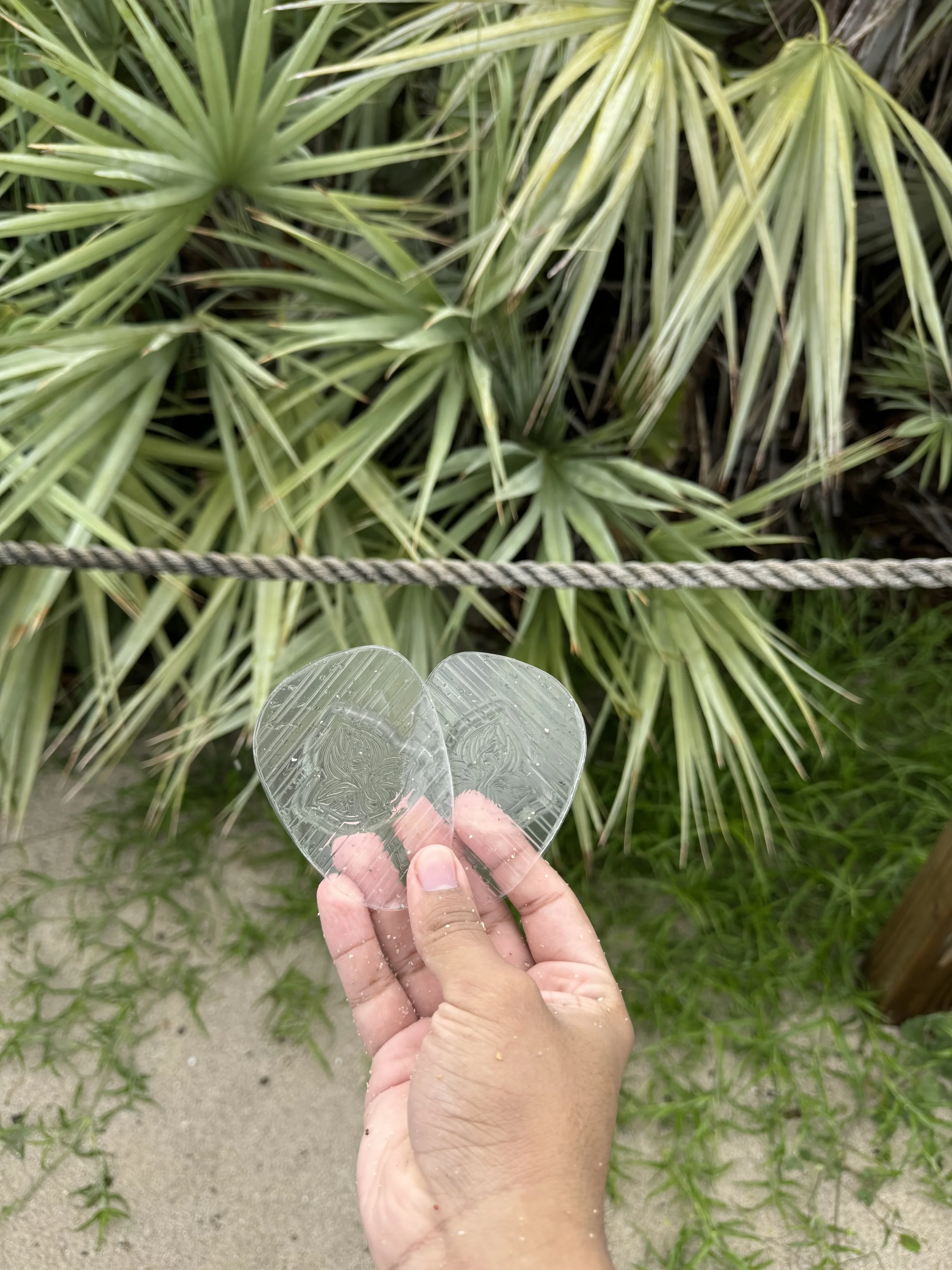 Hand holding two solely minis in front of tropical plants and sand.