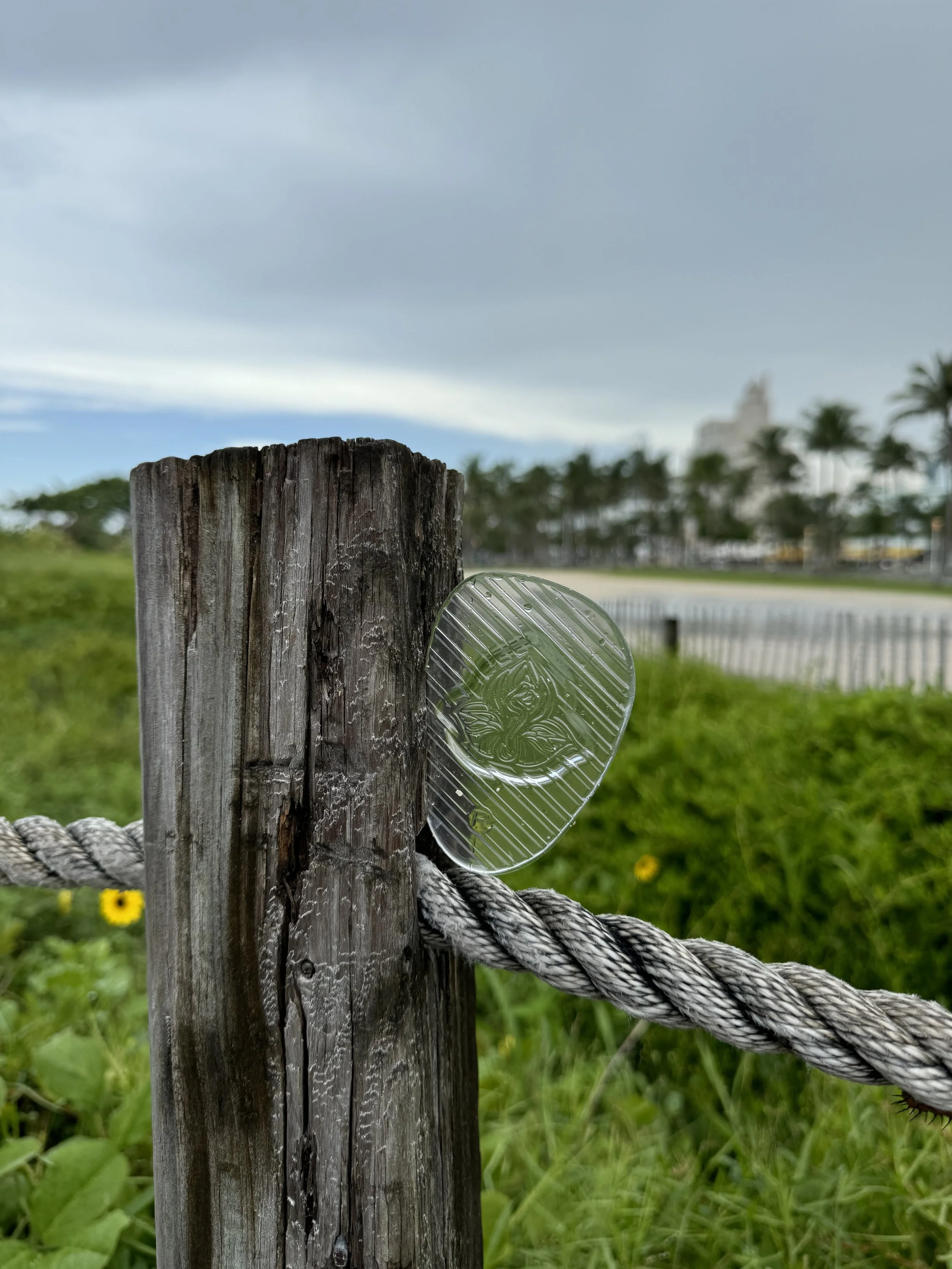 Close-up of a wooden post with a rope attached, solely minis inserts caught between the post and the rope, with a blurred background of green grass and palm trees under a cloudy sky.