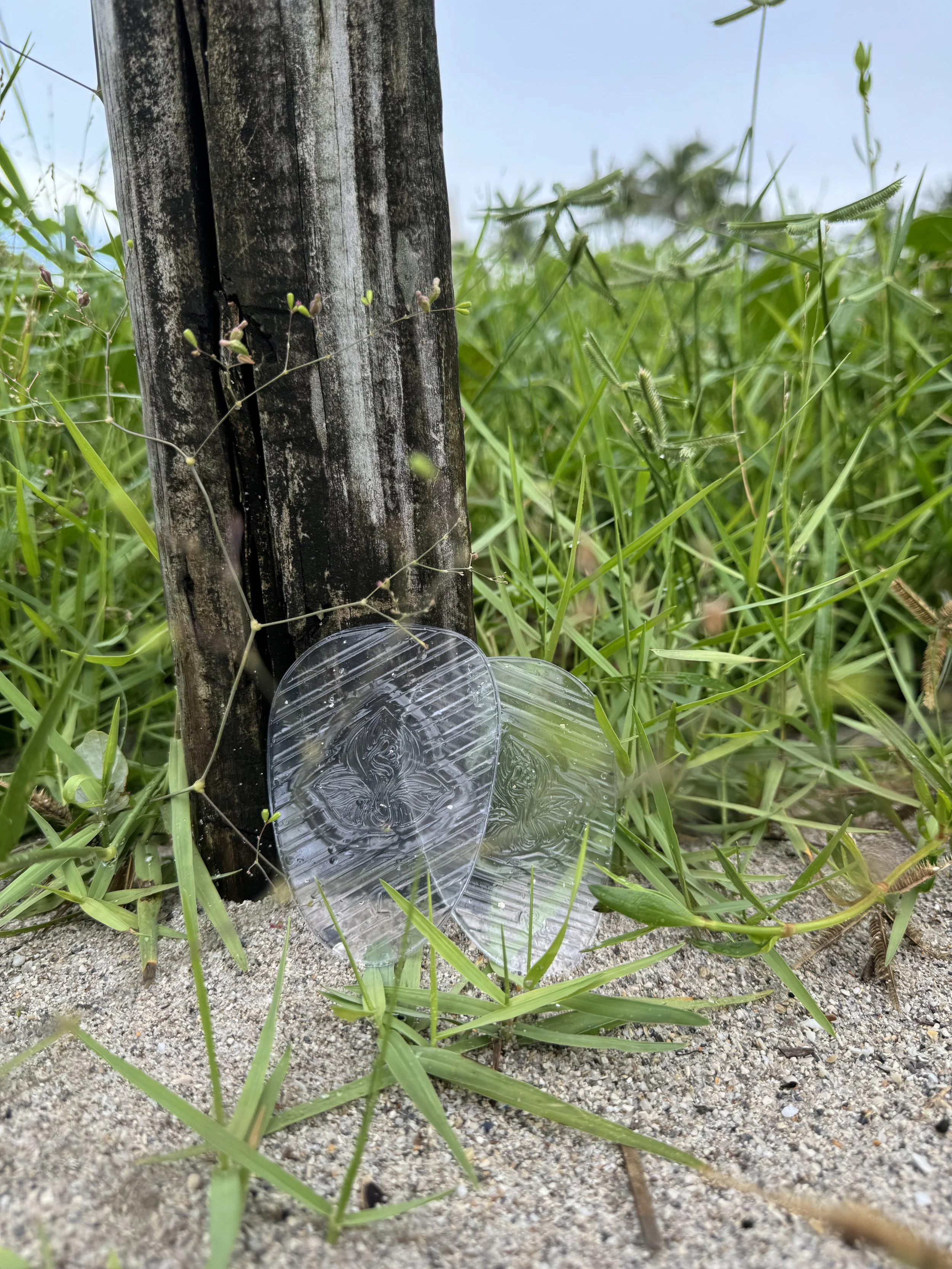 A pair of solely minis on sandy grass next to a wooden post.