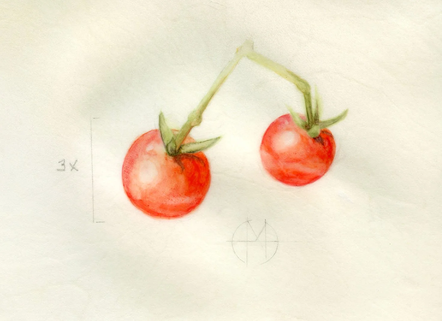 Cherry Tomatoes