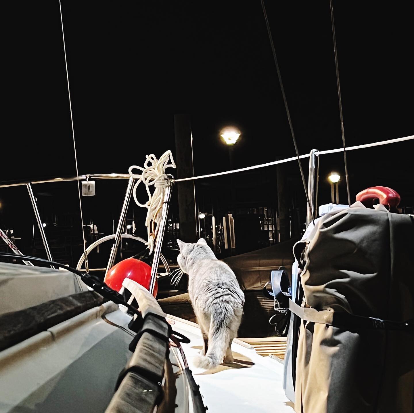 nightly boat check #guarddog