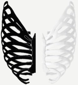 VivaForma Innovations 