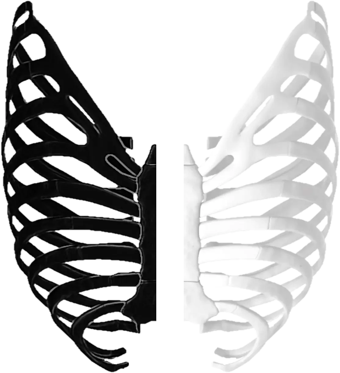 VivaForma Innovations 