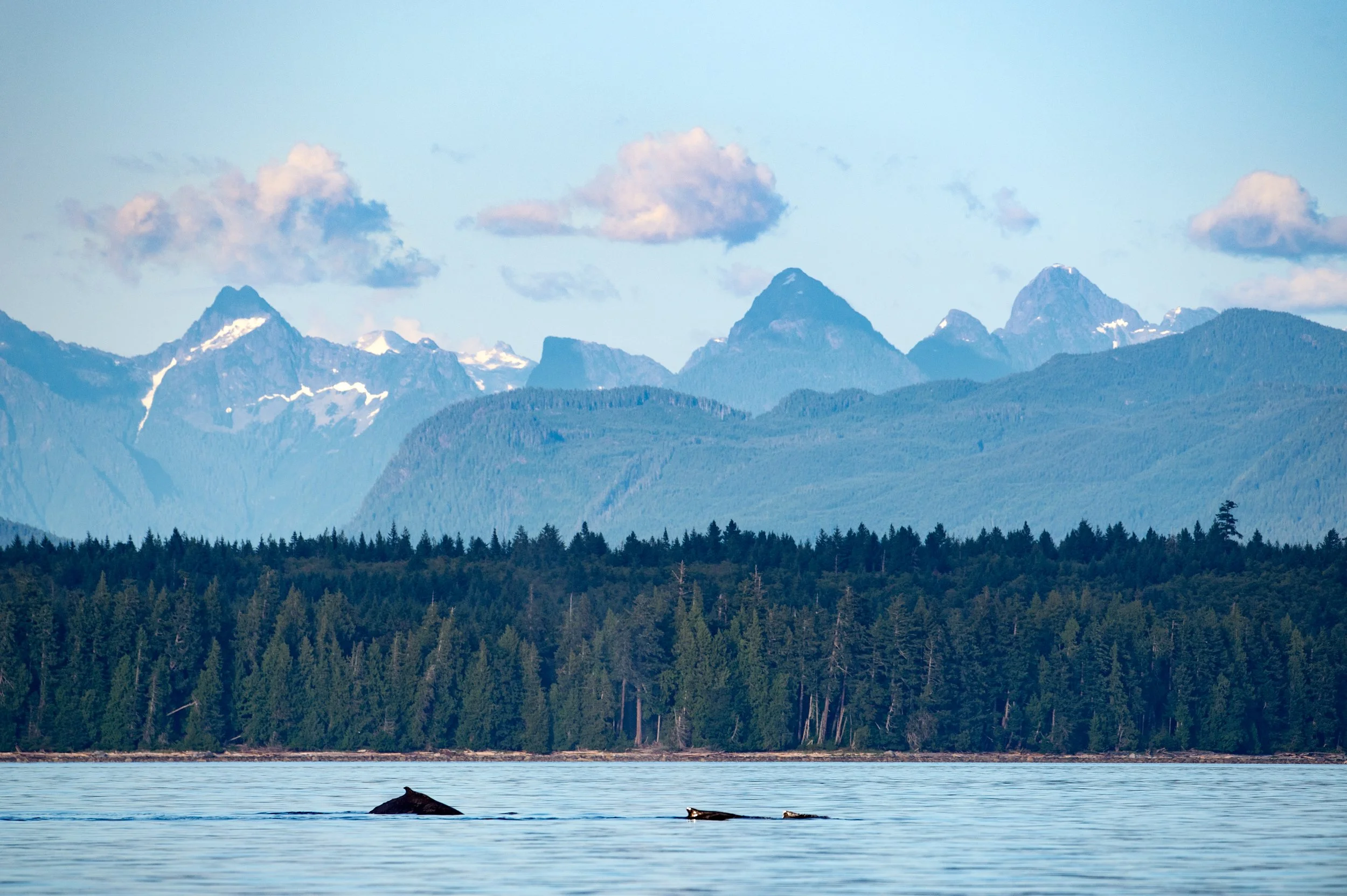 North to Haida Gwaii