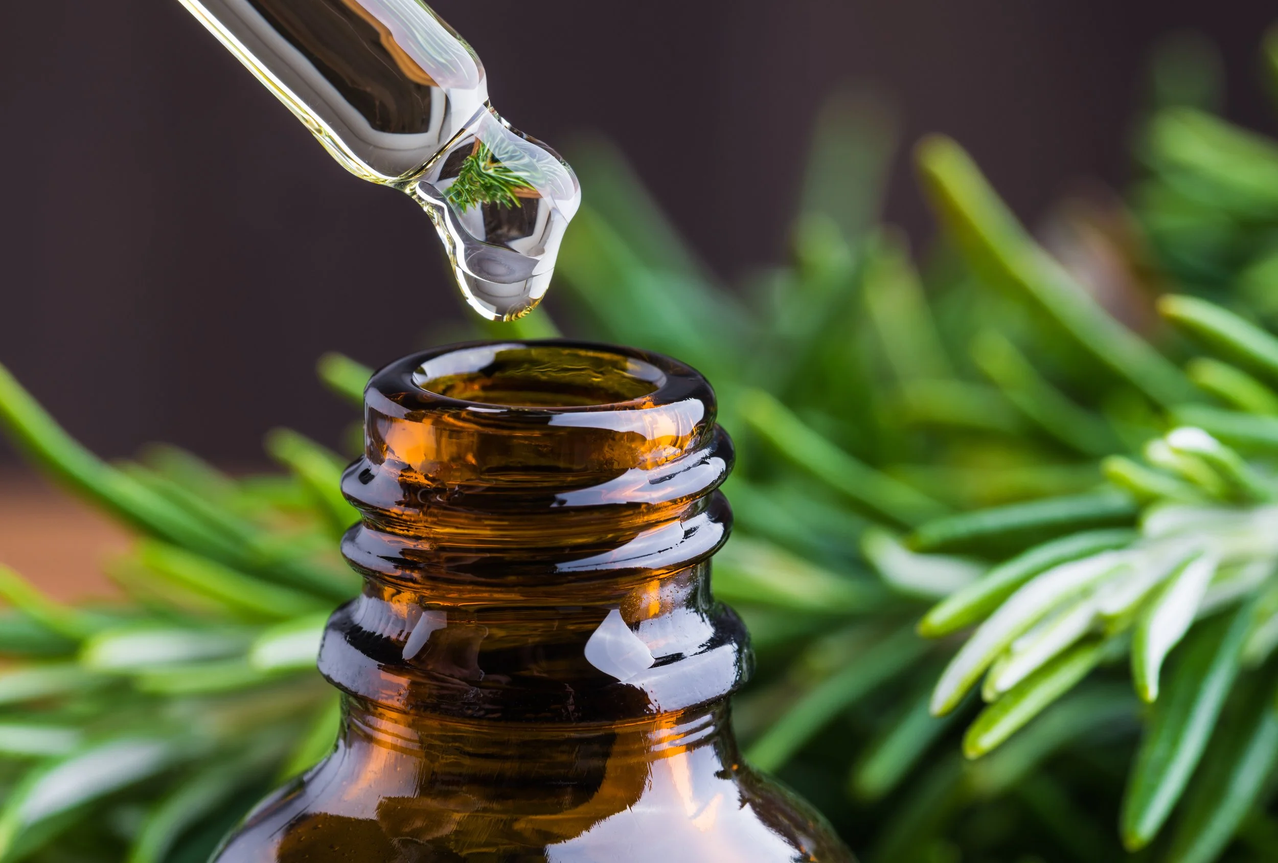 herbal medicine bottle with a dropper over the lip and rosemary herb in the background