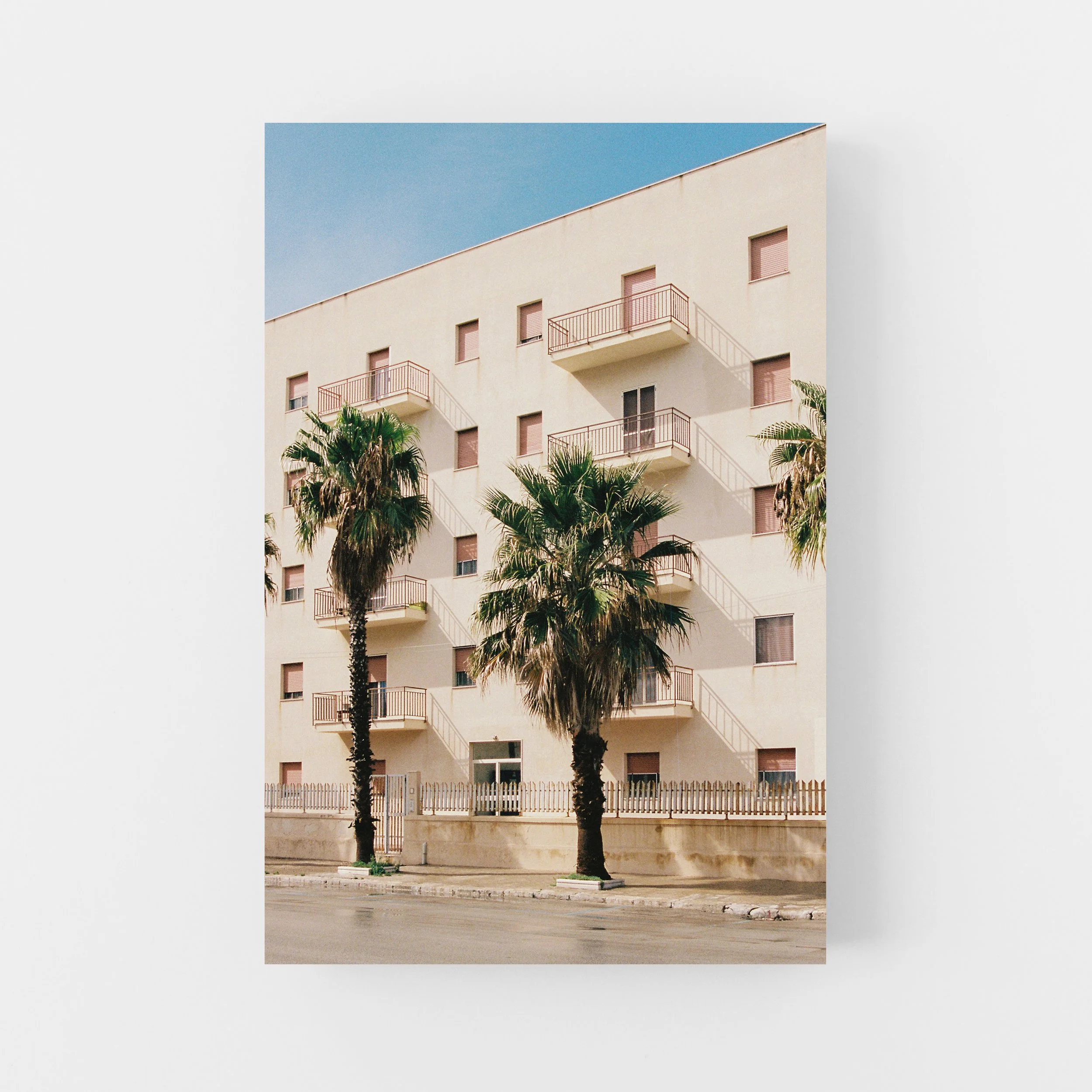 Palms_Portrait_No_Frame_Full.jpg