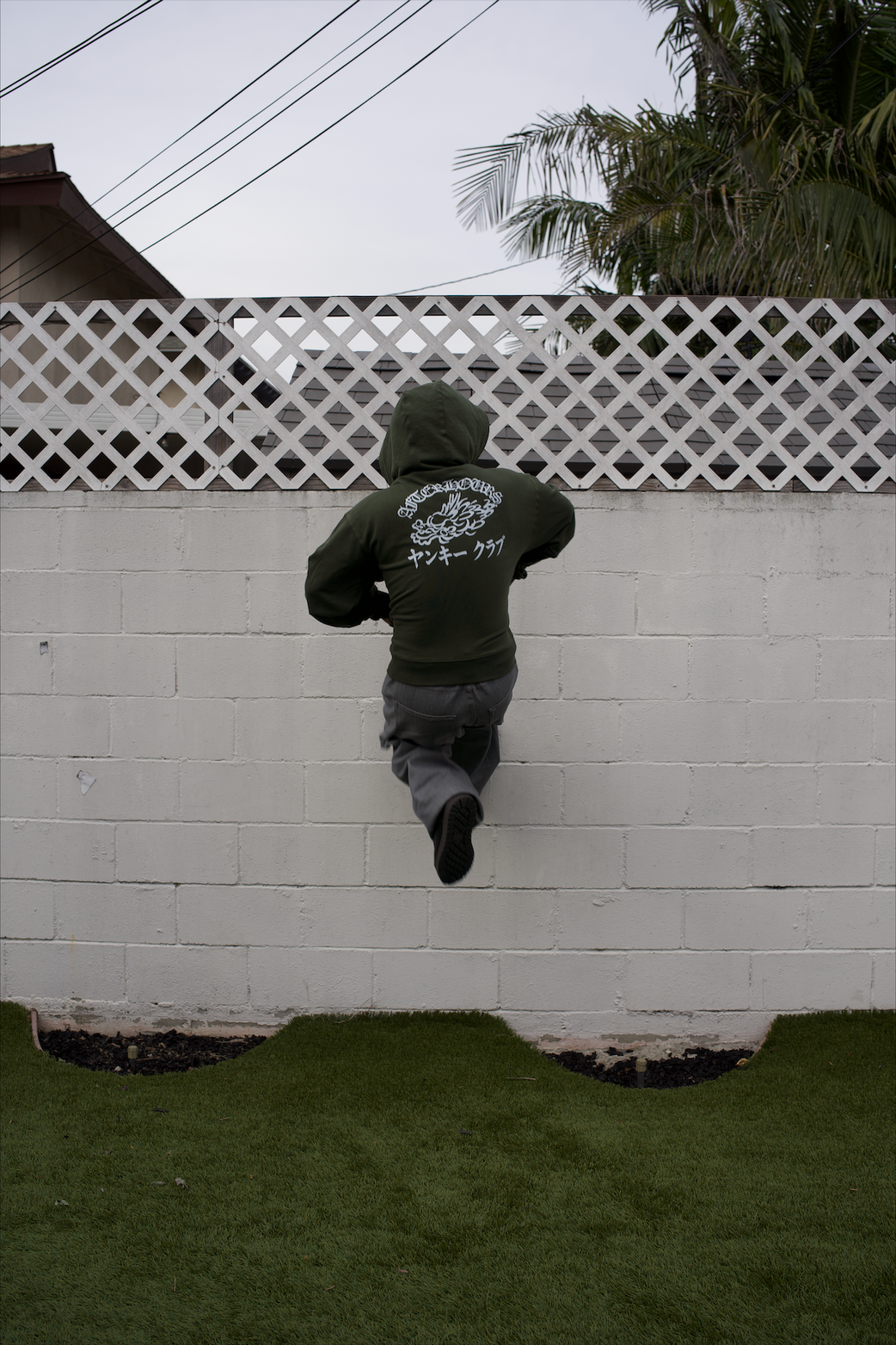Olive YANKEE HOODIE