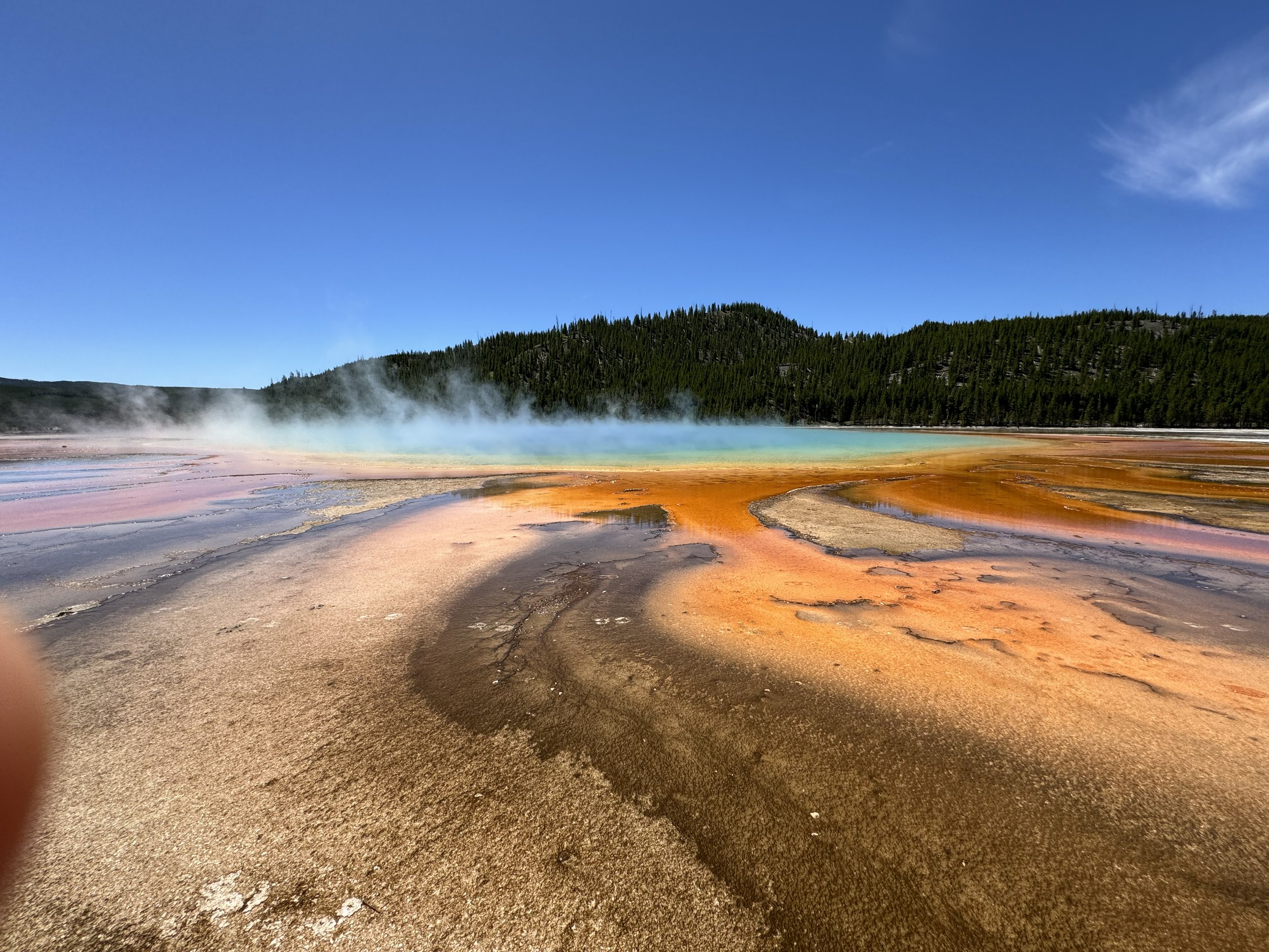 ReSocial 2024 MT Yellowstone wow.jpg