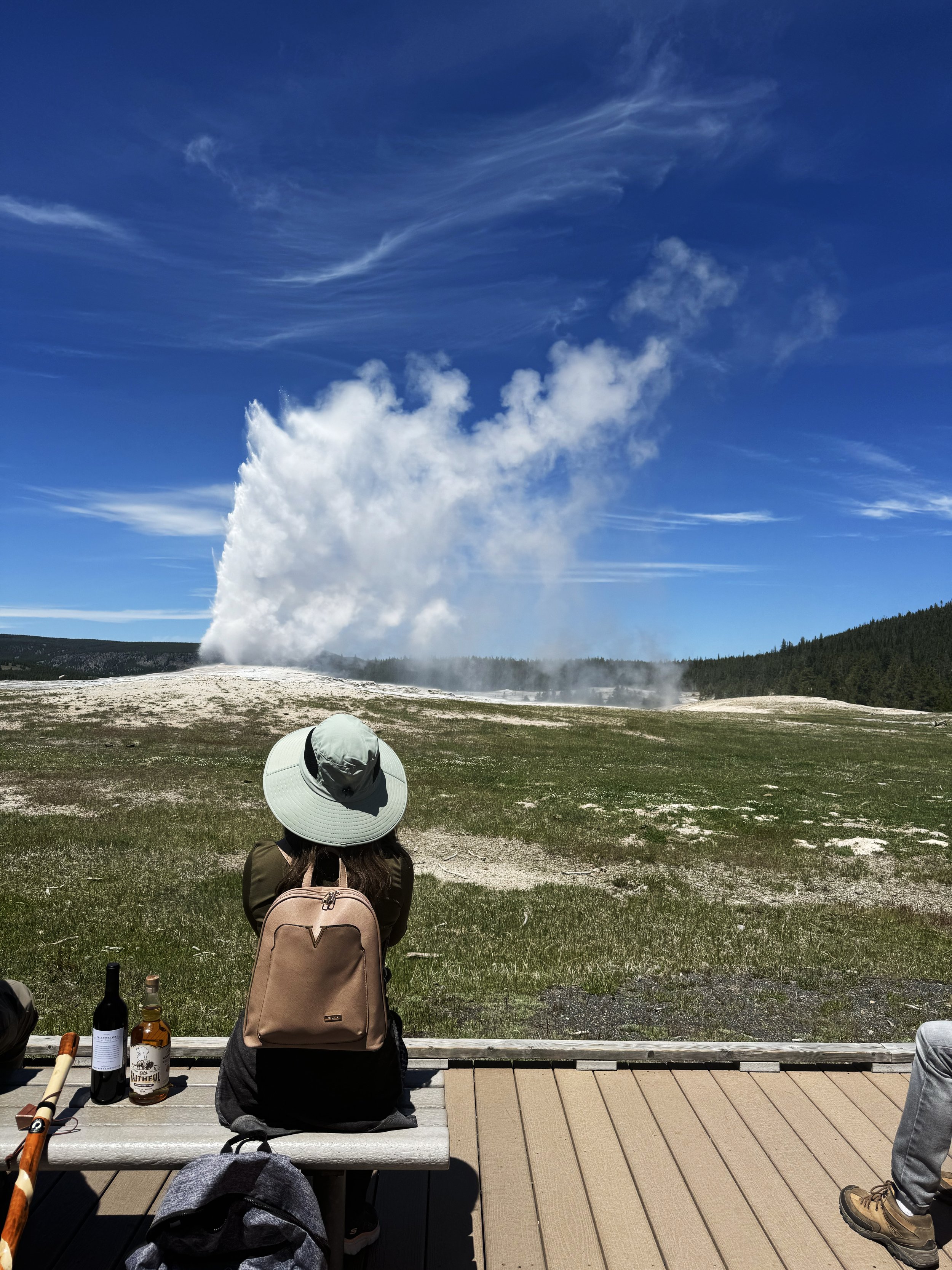 ReSocial 2024 MT Old Faithful.jpg