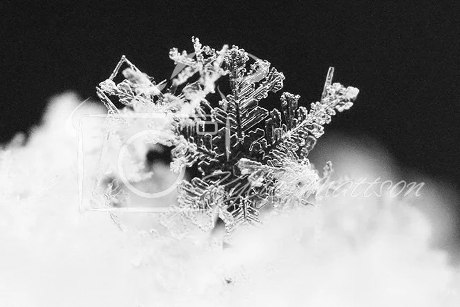 Winter Geometry.jpg