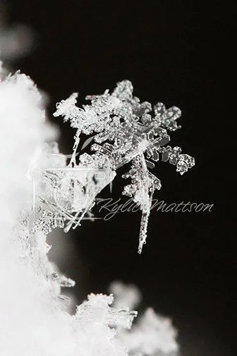 Crystal Melt.jpg