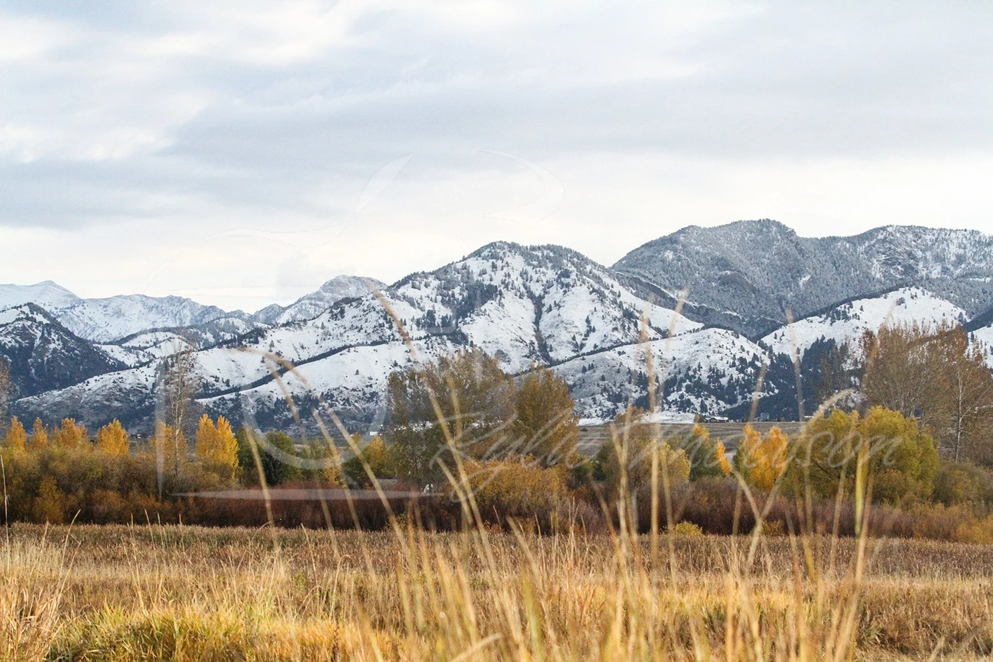 Bridgers Fall Landscape.jpg
